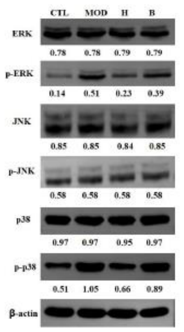 Preprints 232014 g011 Preprints 232014 g011