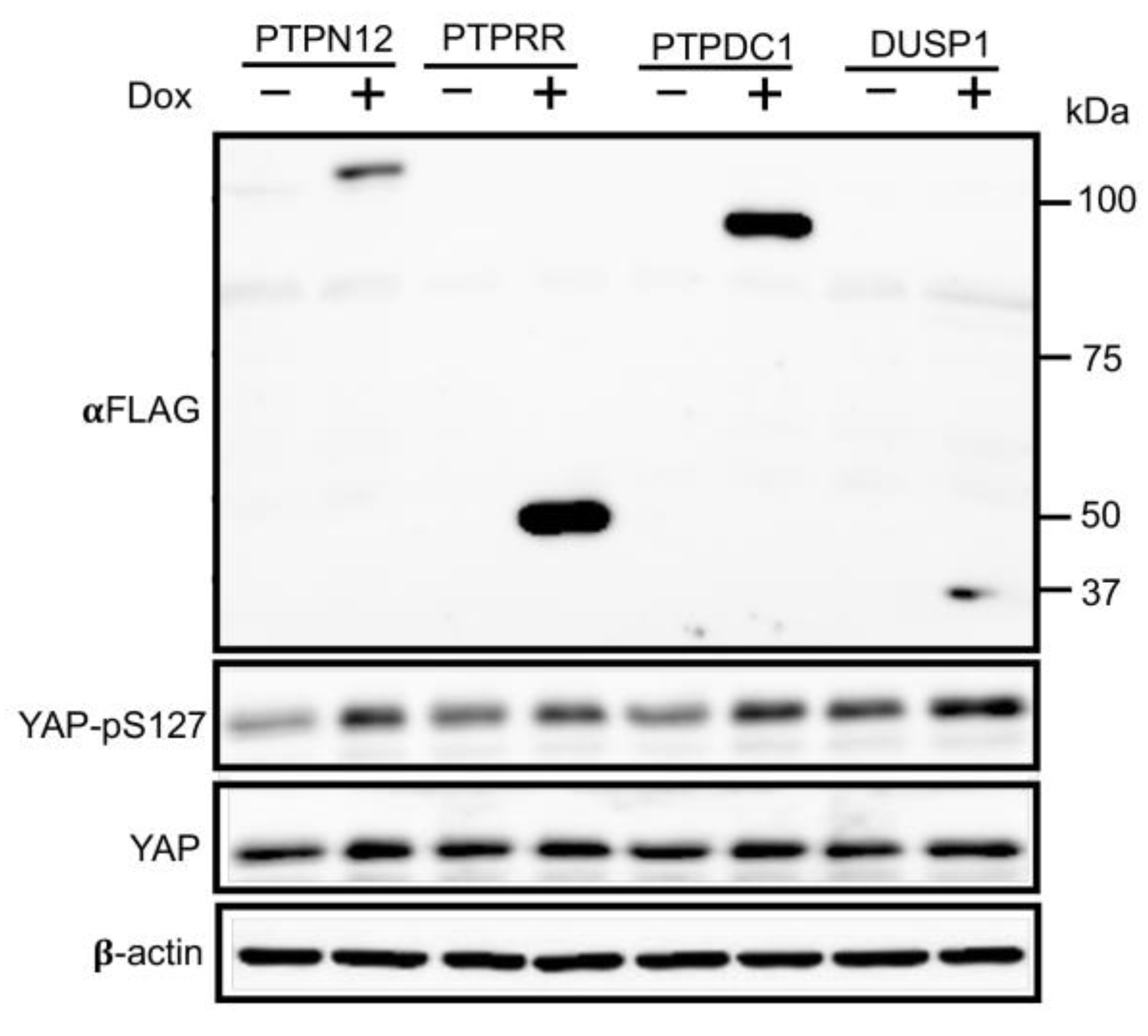 Preprints 94945 g003