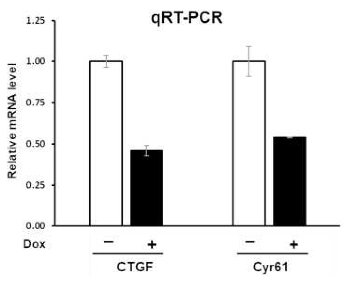 Preprints 94945 g004