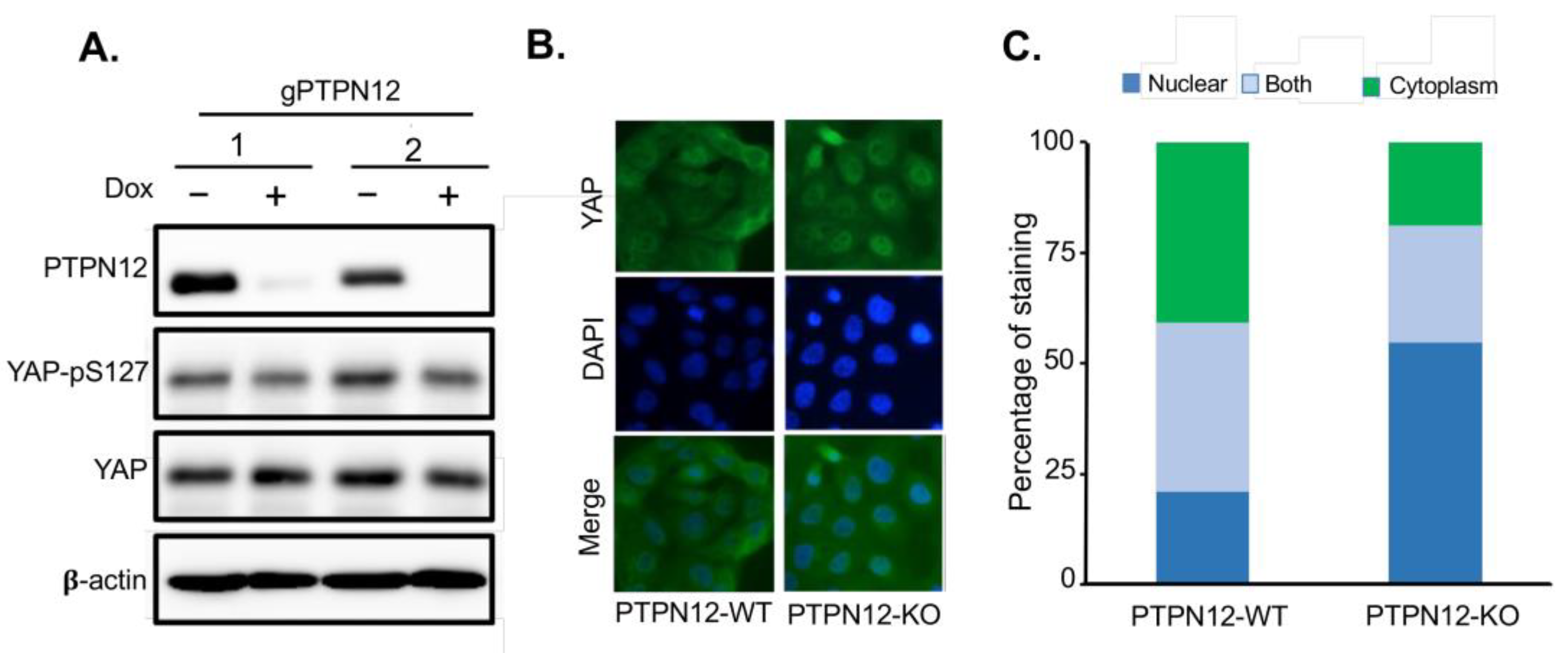 Preprints 94945 g005