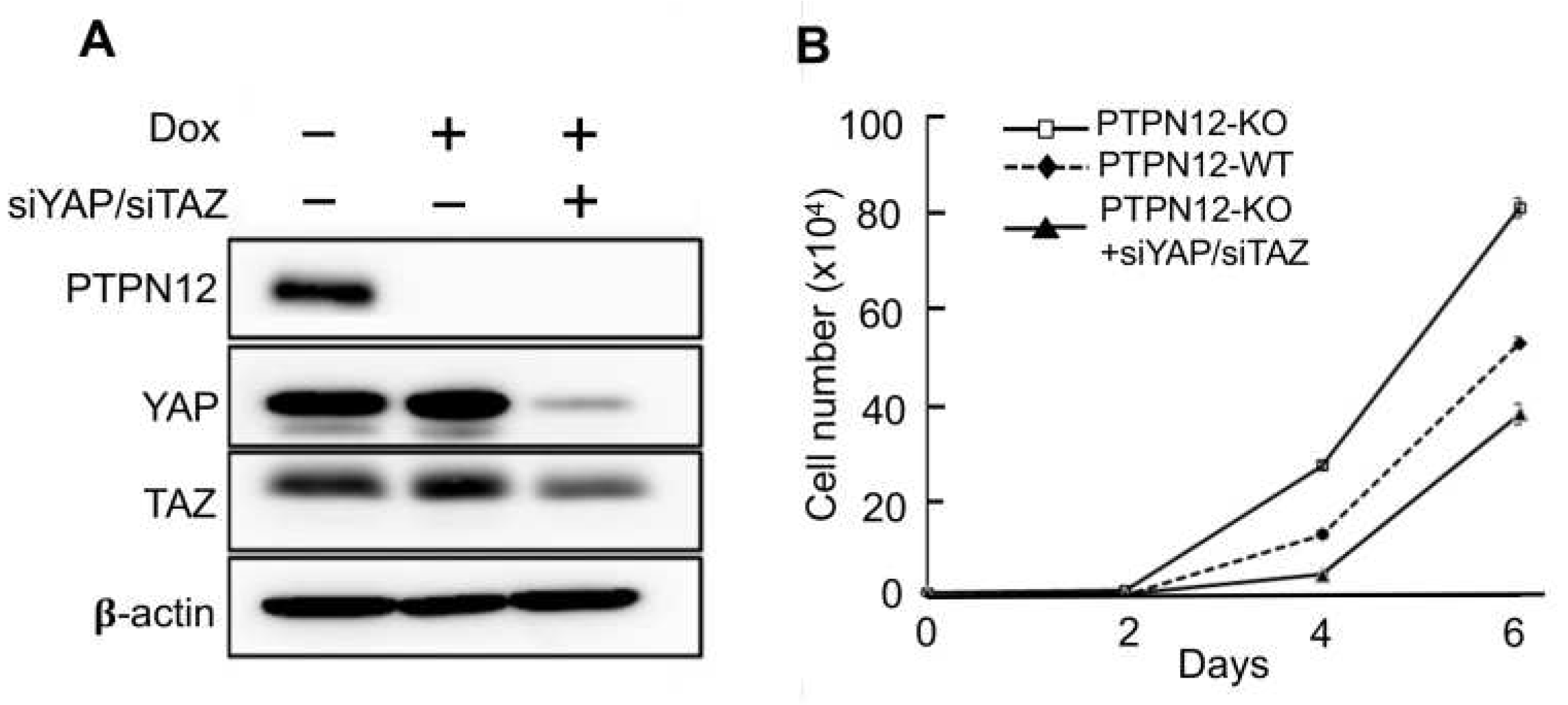 Preprints 94945 g006
