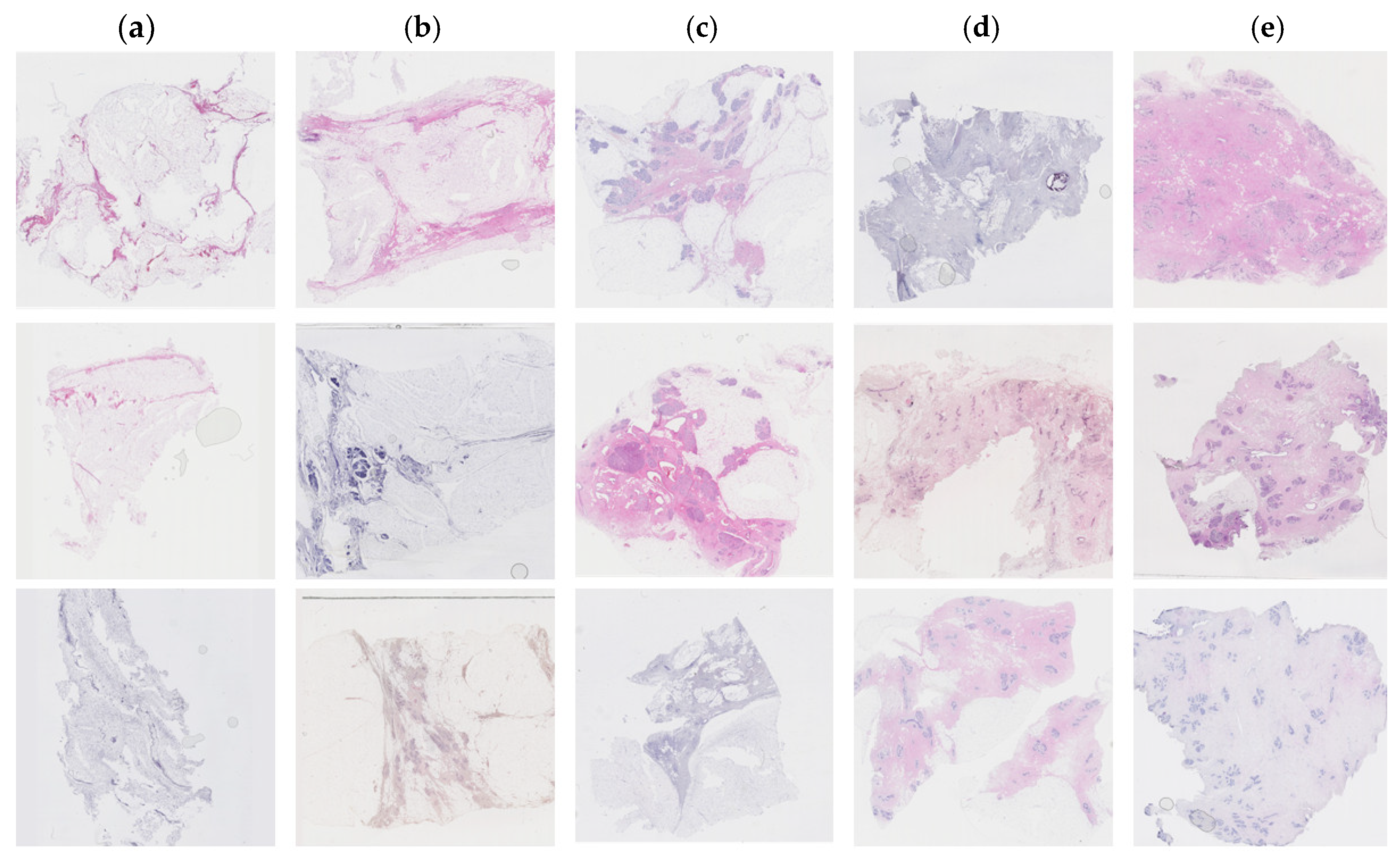 Preprints 142806 g001