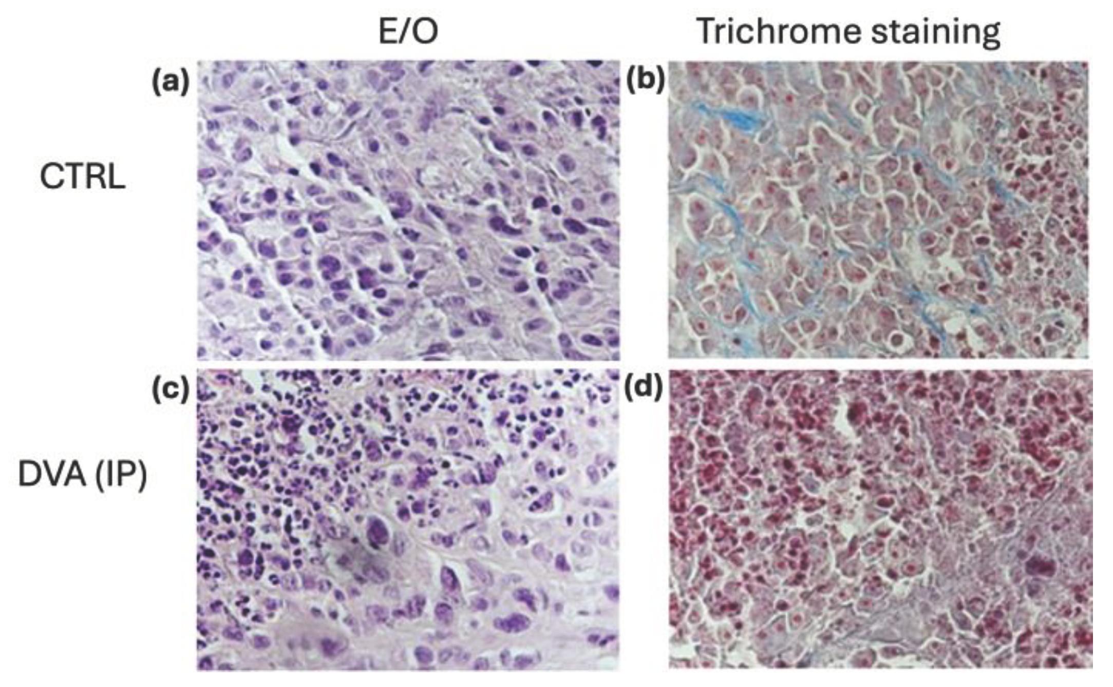 Preprints 102196 g006