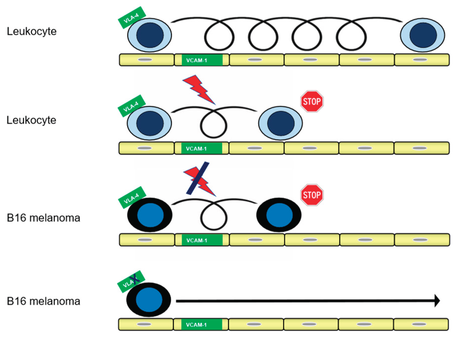 Preprints 228346 g001