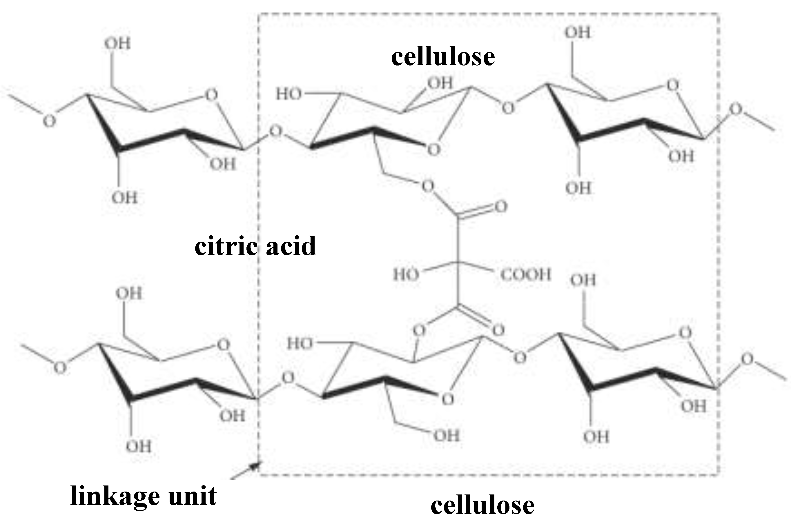 Preprints 147074 g002