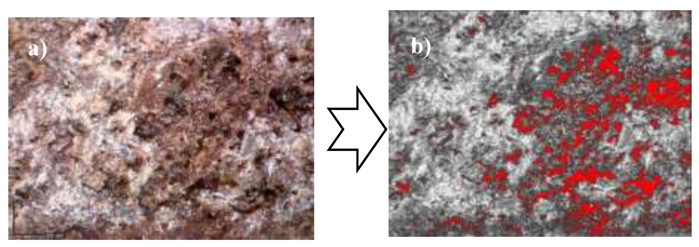 Preprints 147074 g006