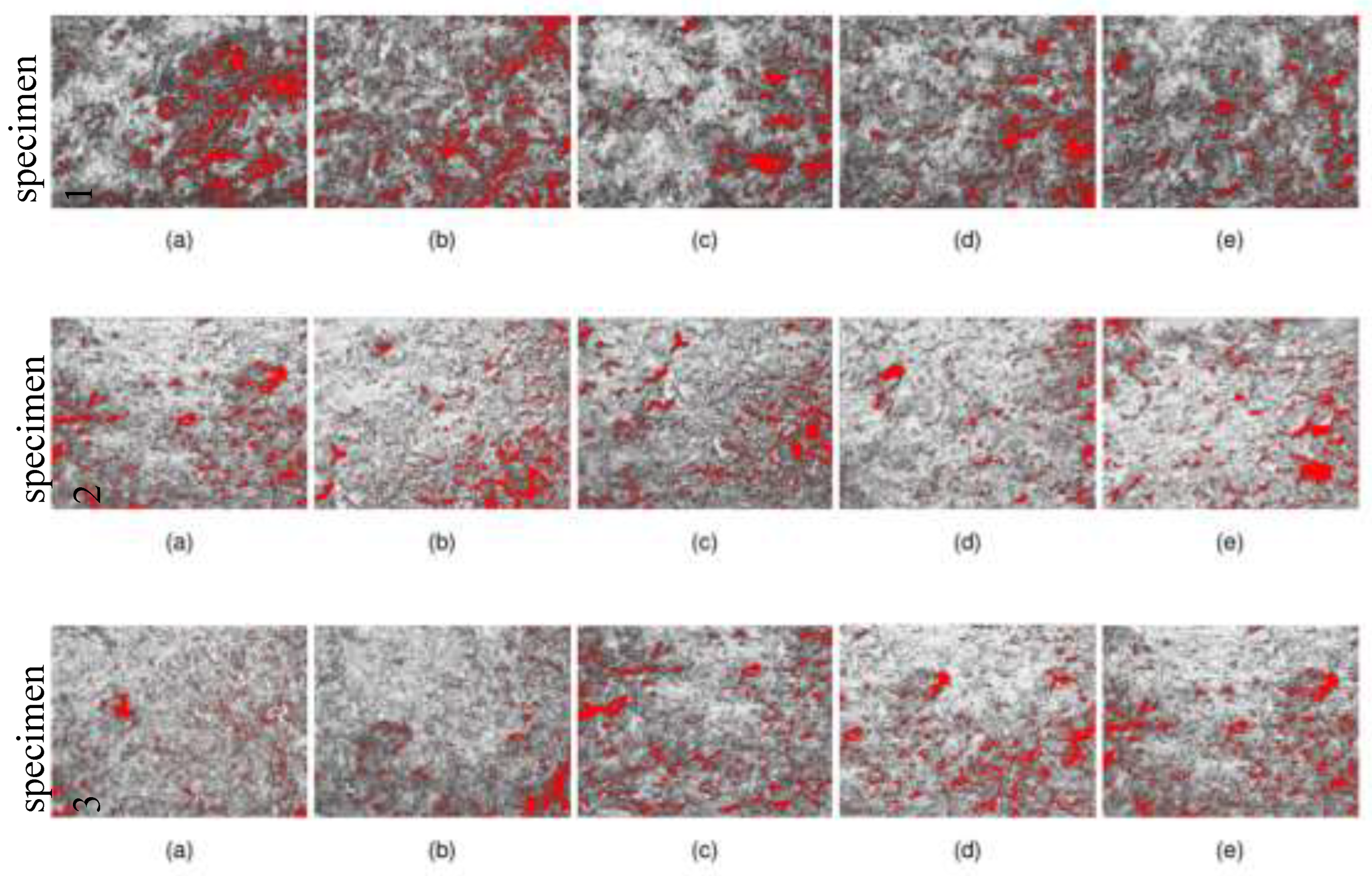 Preprints 147074 g007