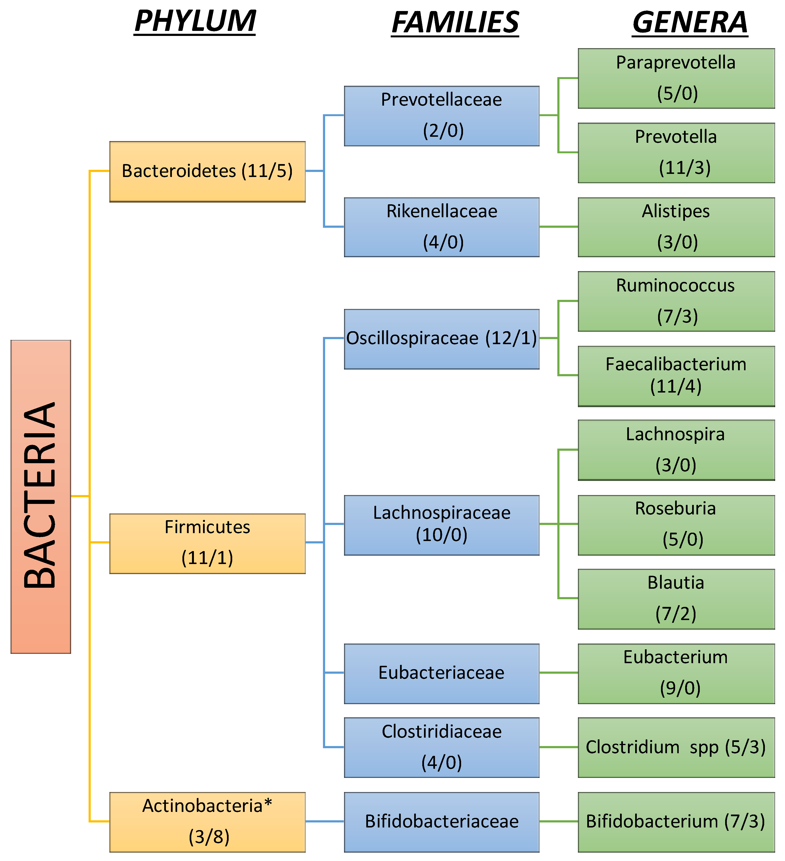 Preprints 141469 g005