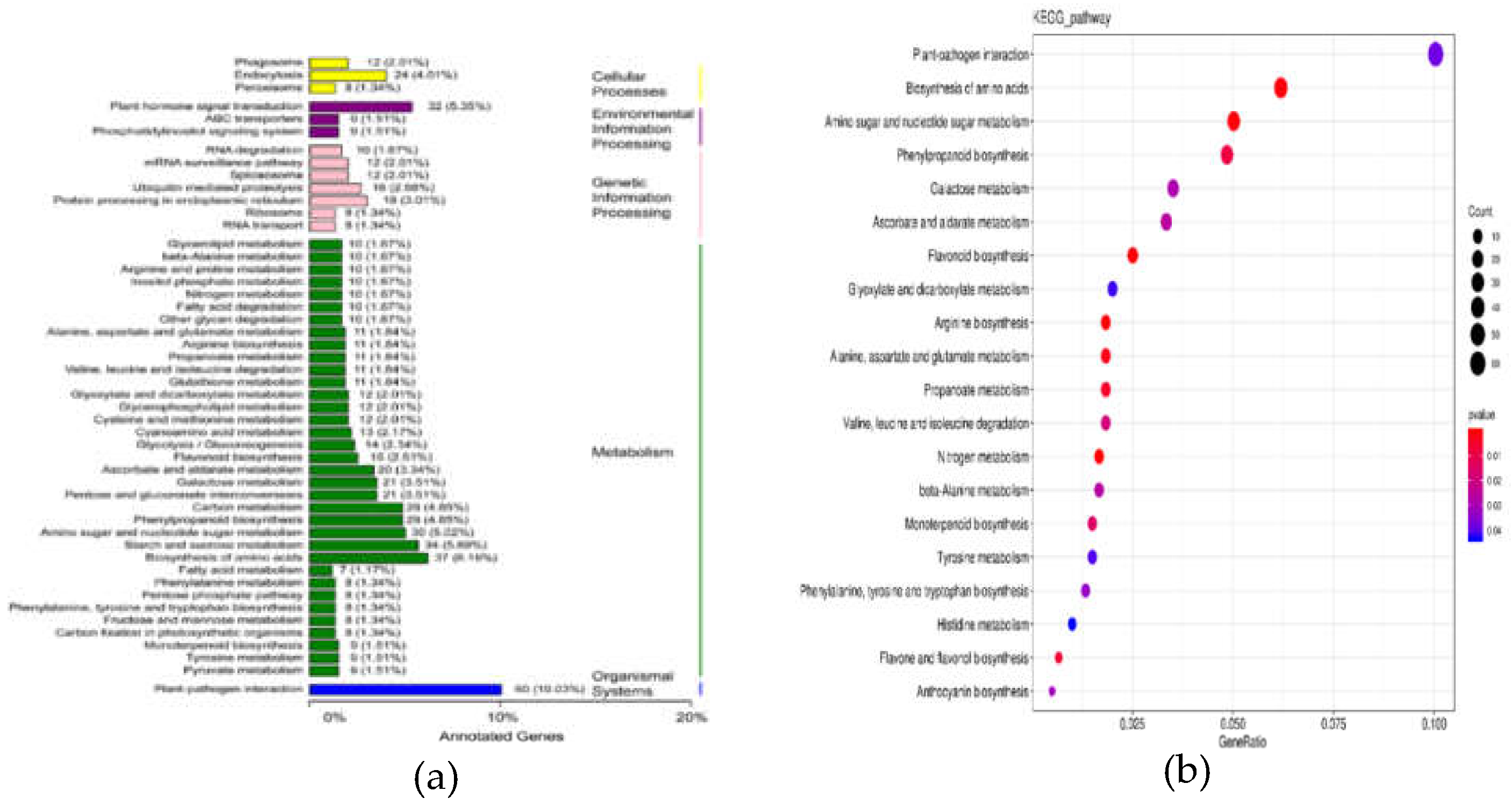 Preprints 196582 g005
