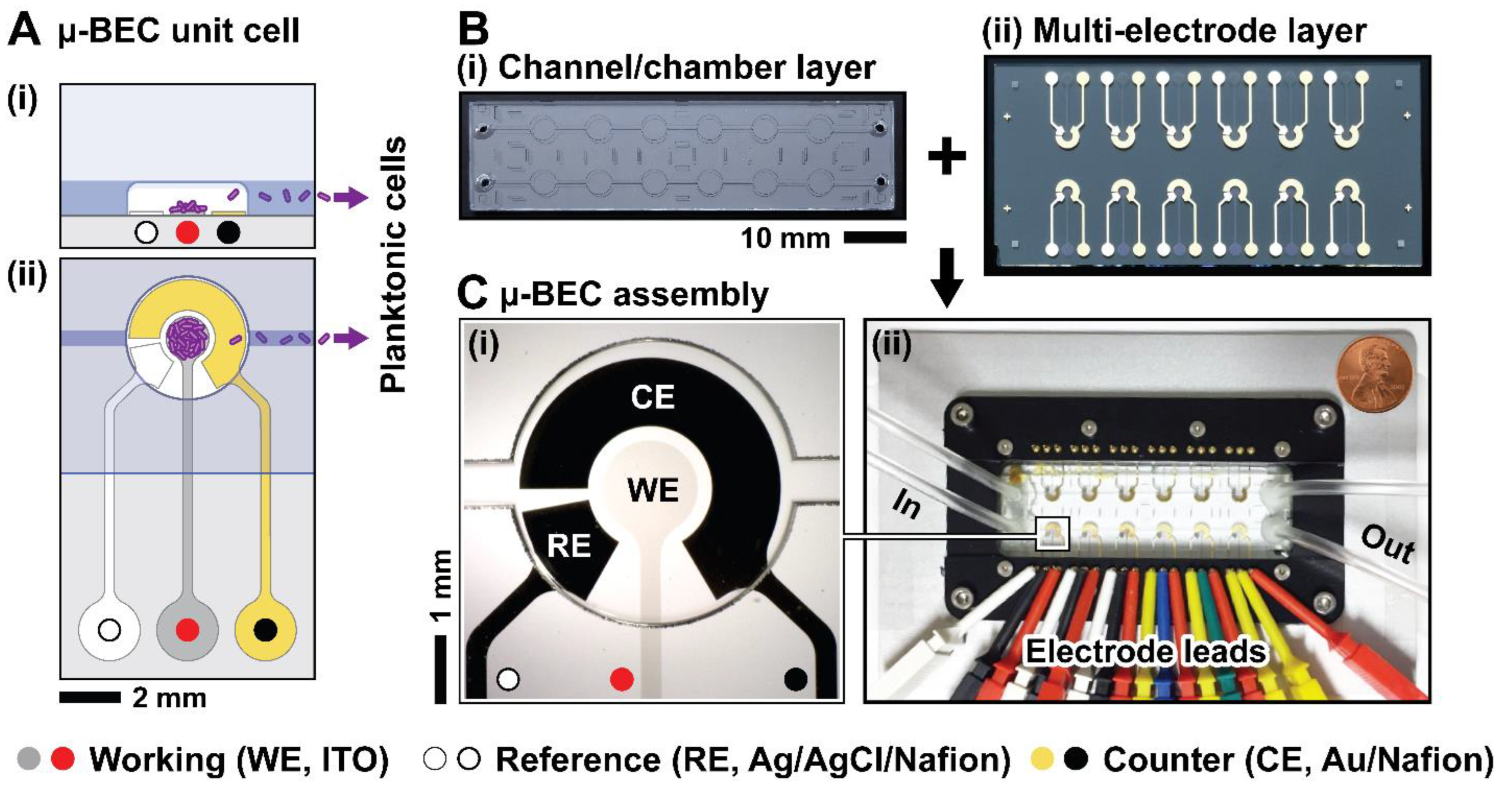 Preprints 160514 g001