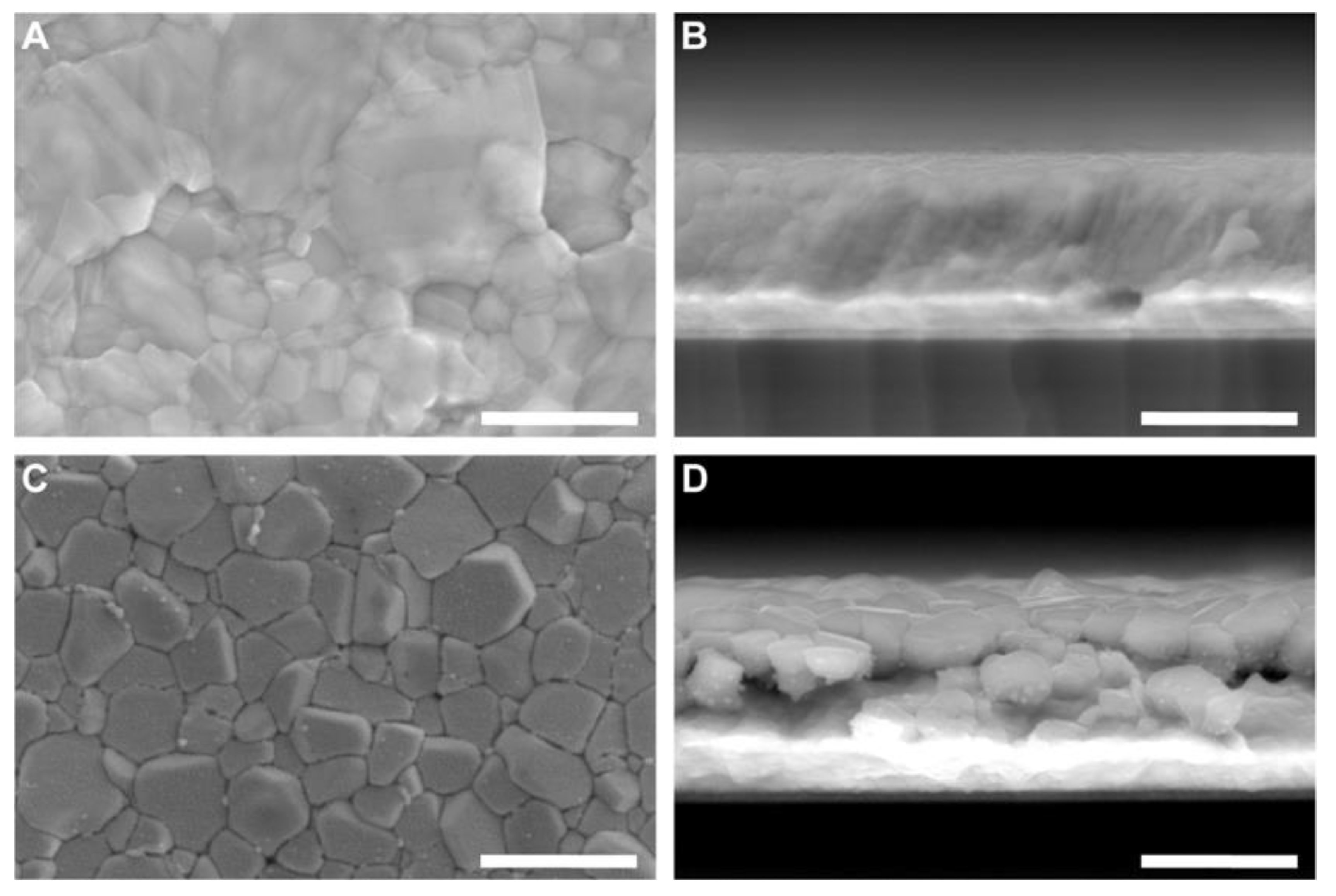 Preprints 160514 g003