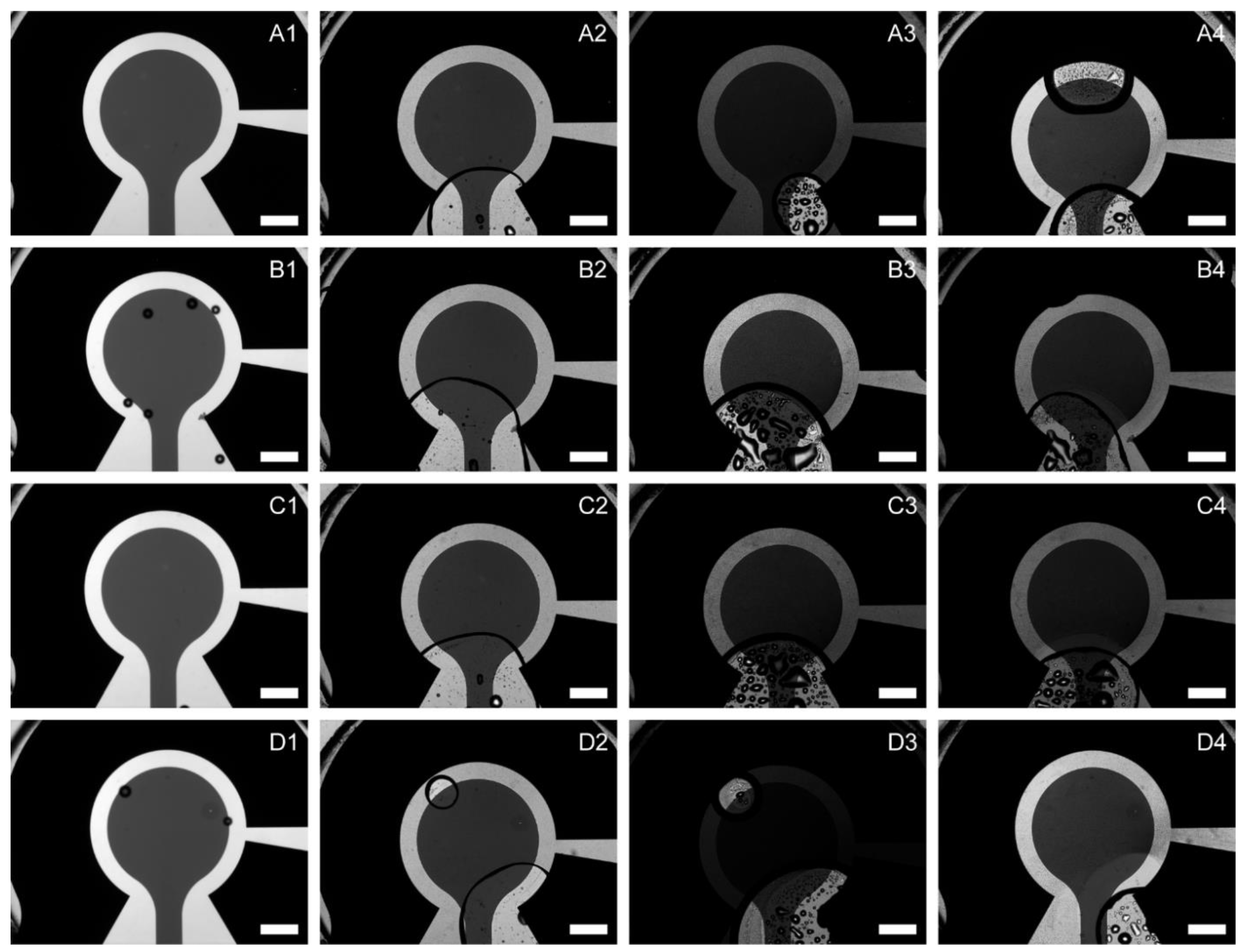 Preprints 160514 g016
