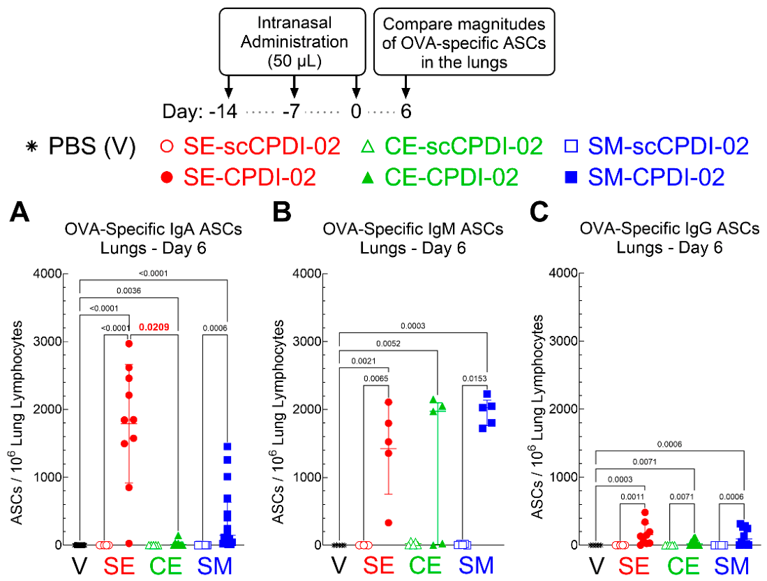Preprints 224924 g002 Preprints 224924 g002