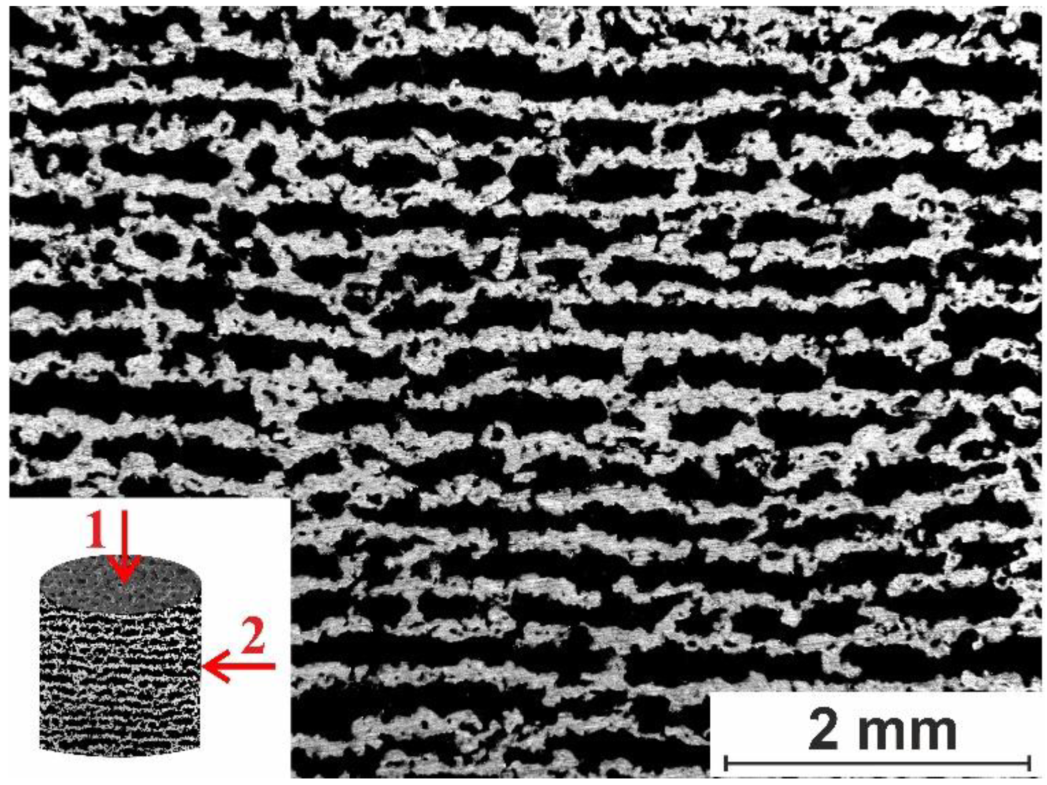 Preprints 95687 g001