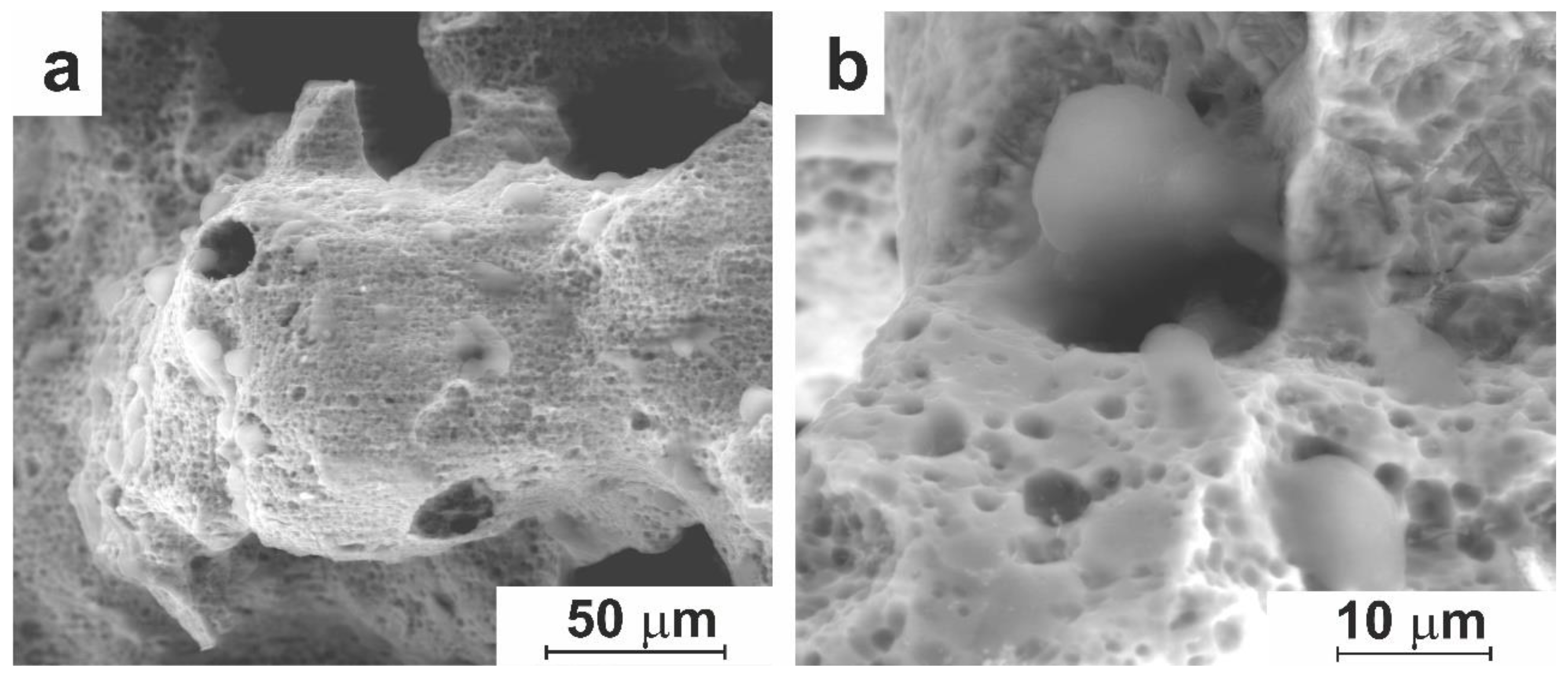 Preprints 95687 g008