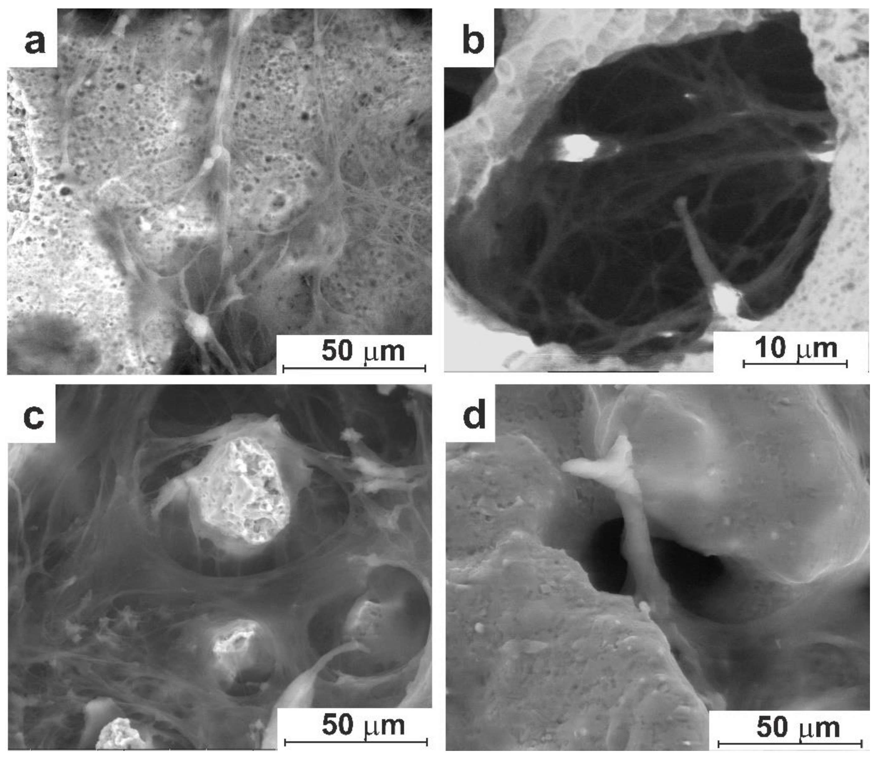 Preprints 95687 g009