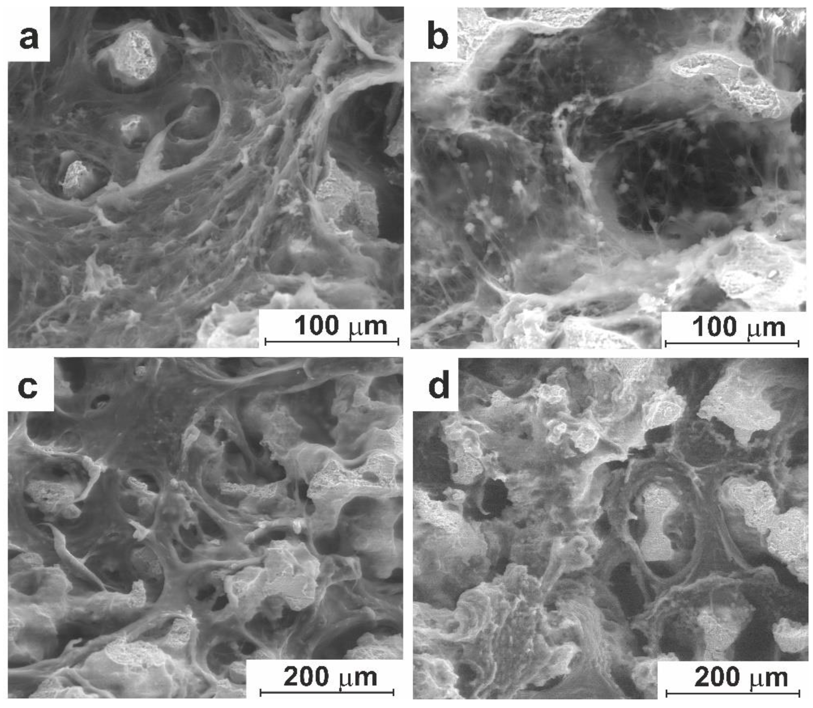 Preprints 95687 g010