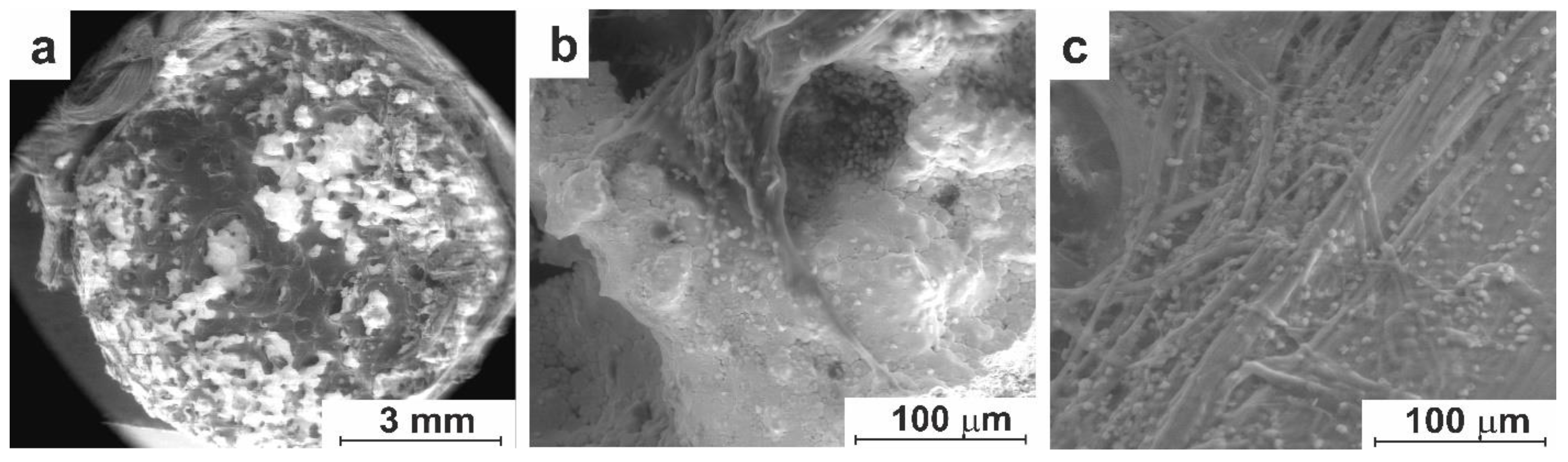 Preprints 95687 g011