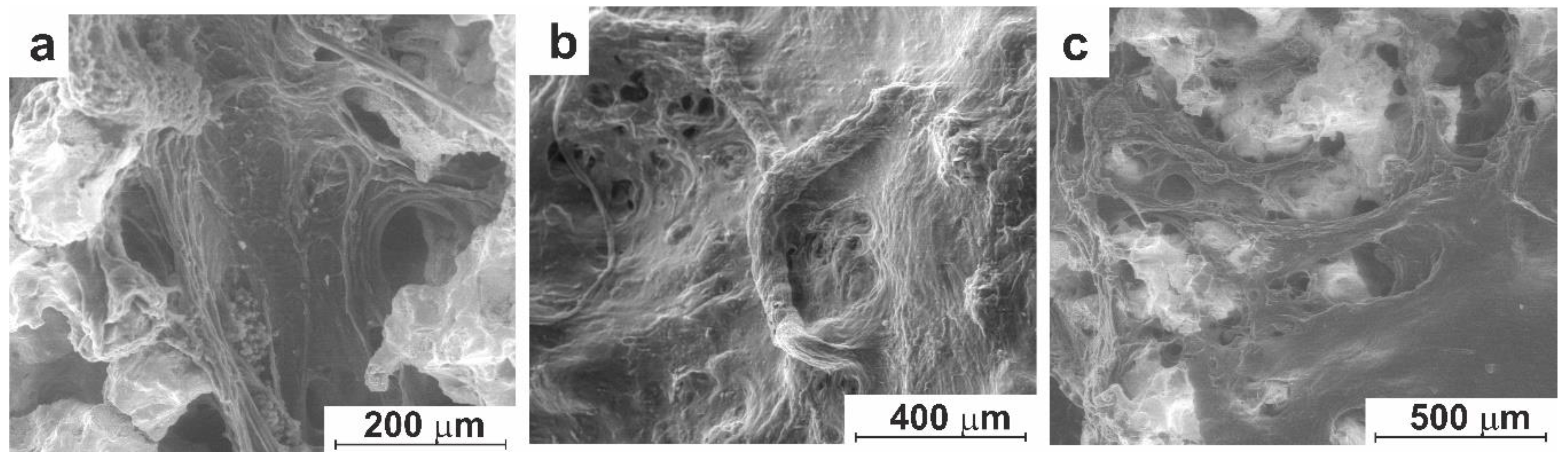 Preprints 95687 g012