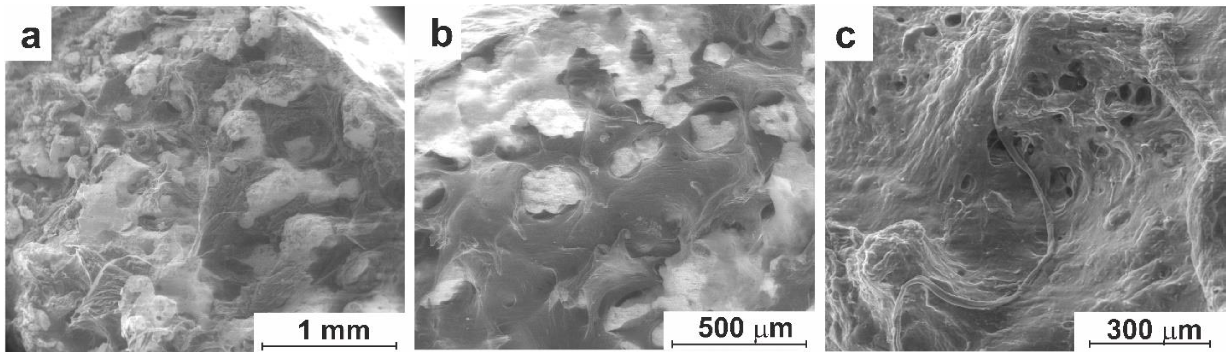 Preprints 95687 g013