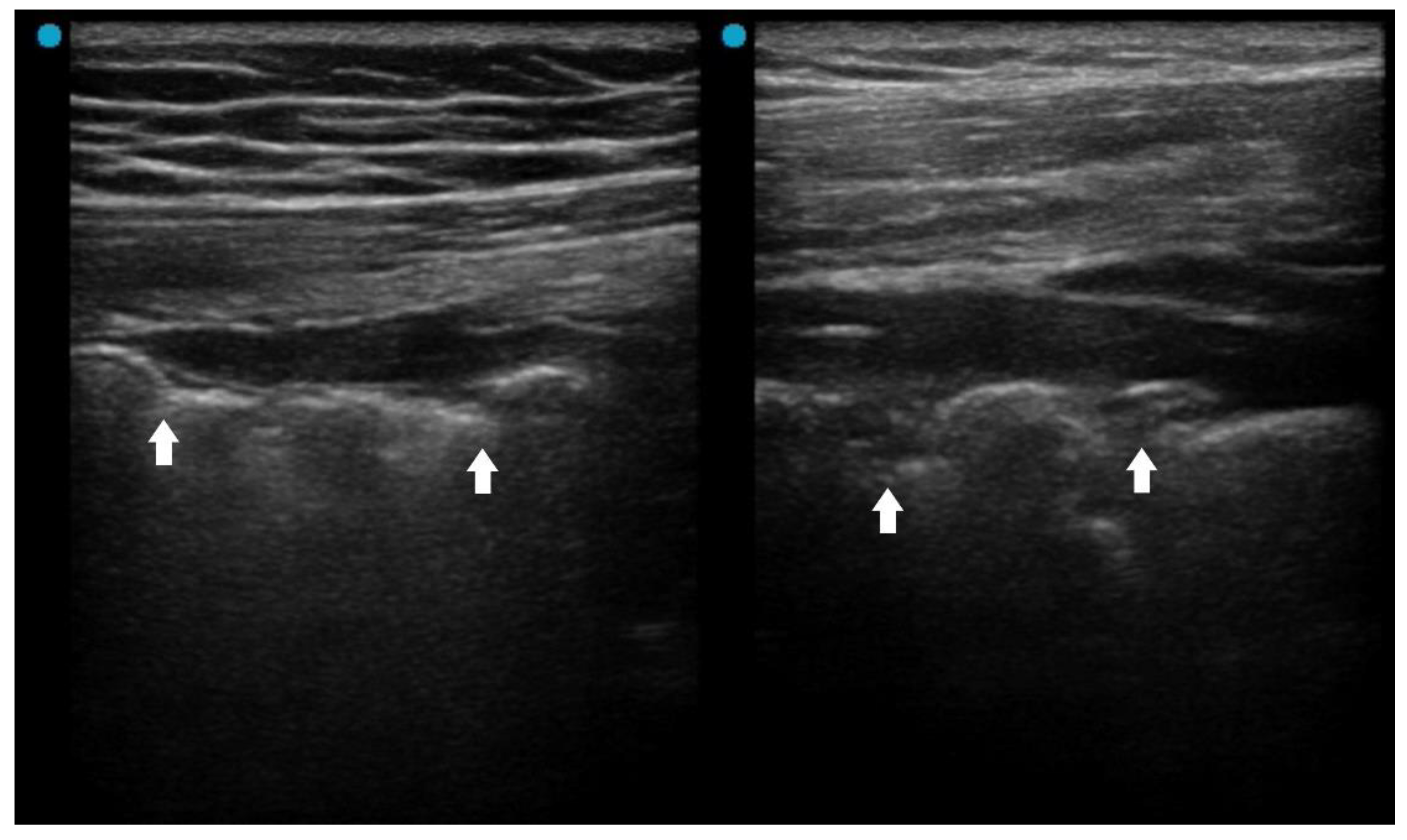 Preprints 181256 g001