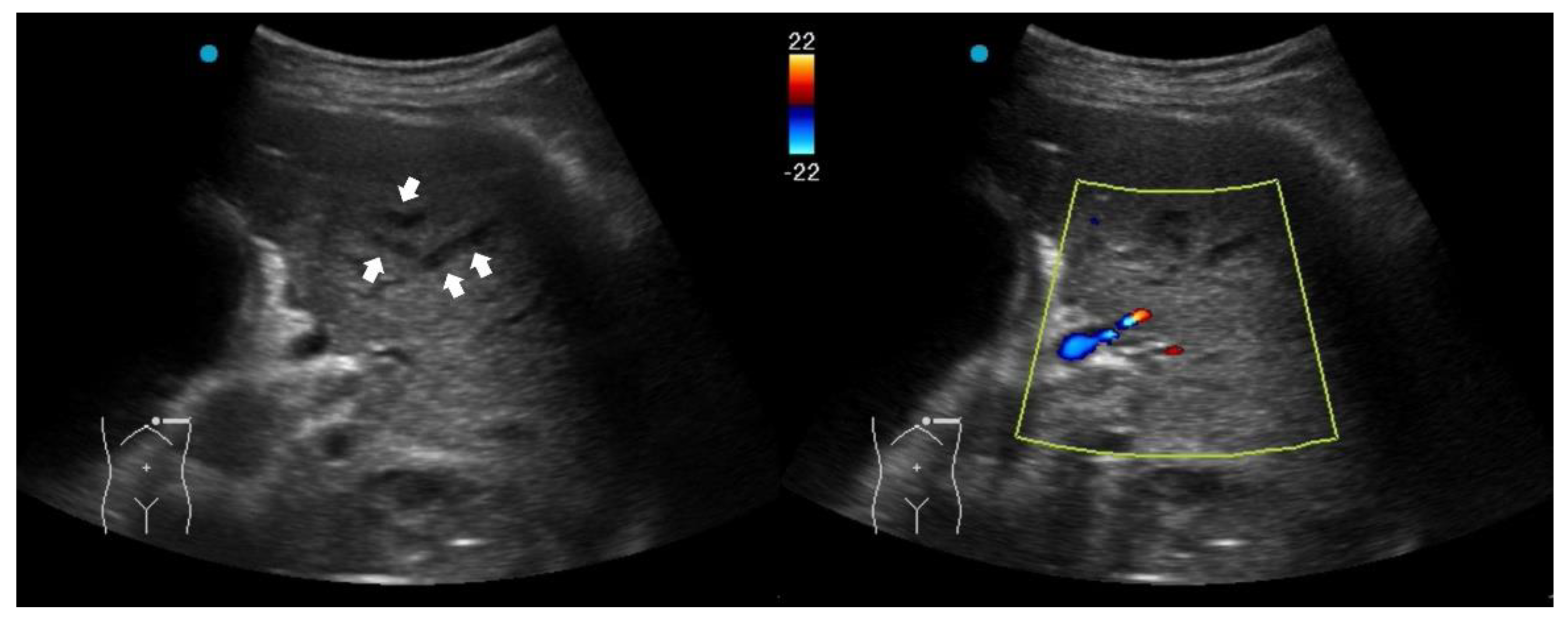 Preprints 181256 g002