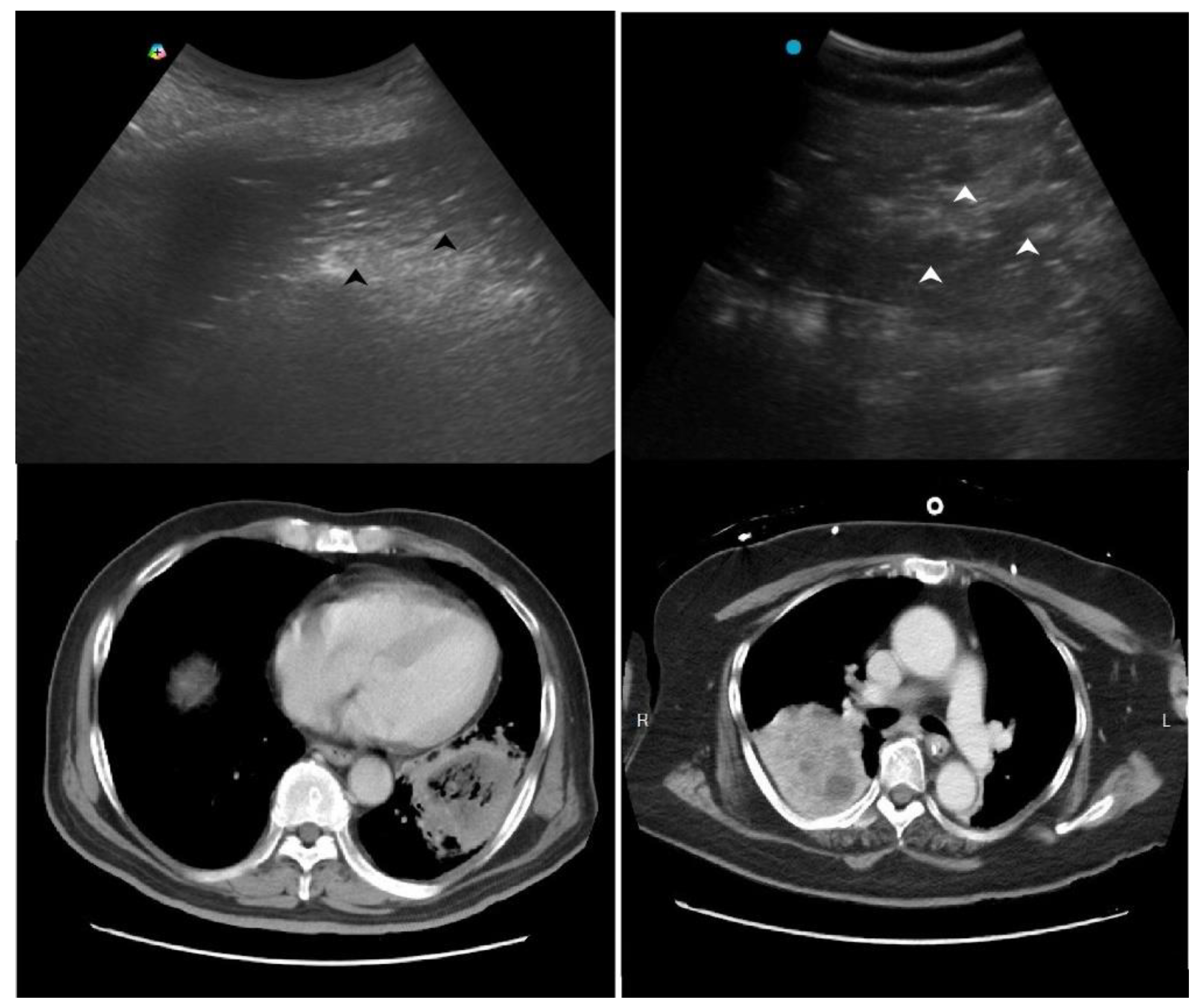 Preprints 181256 g003