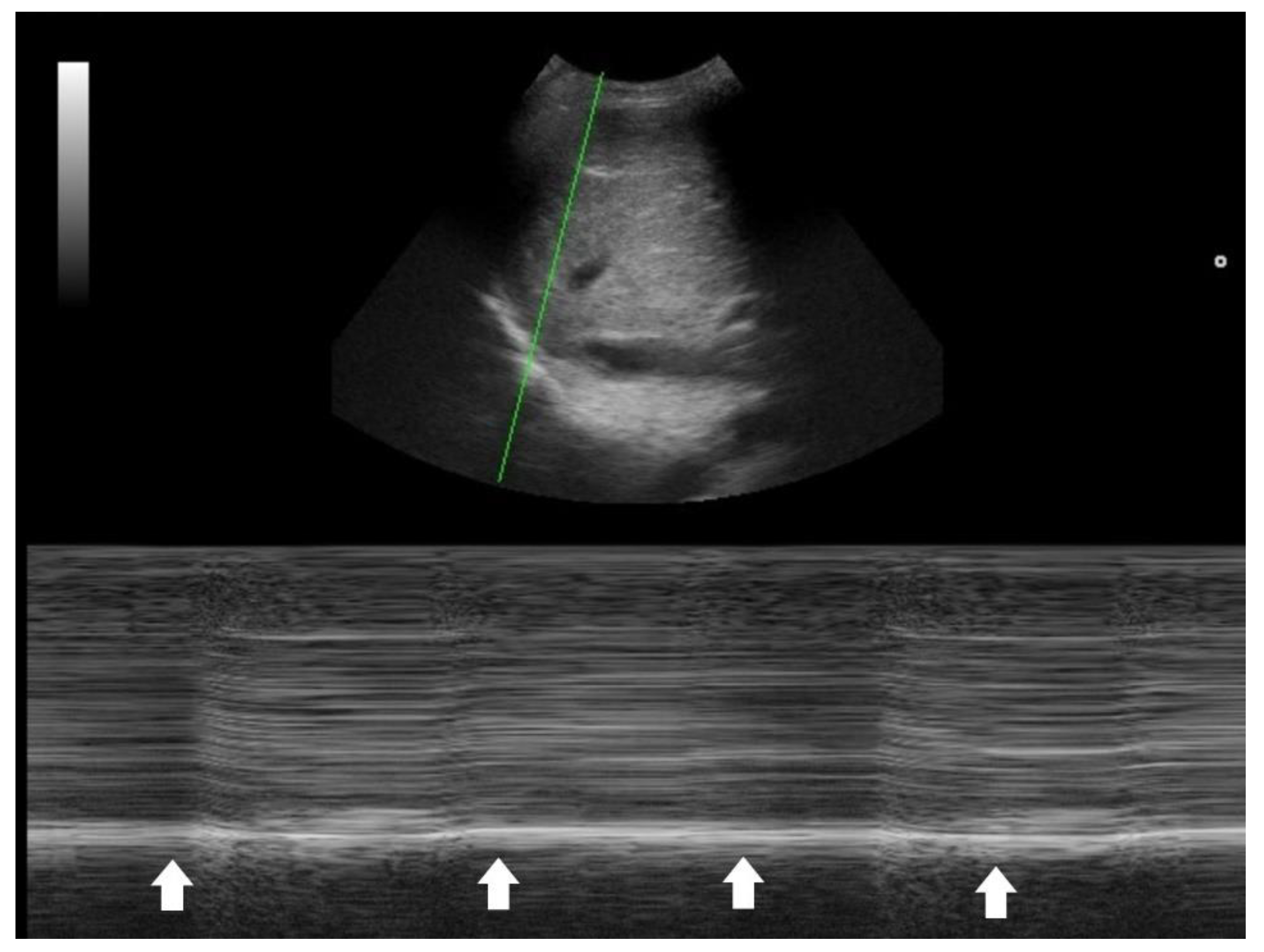 Preprints 181256 g004