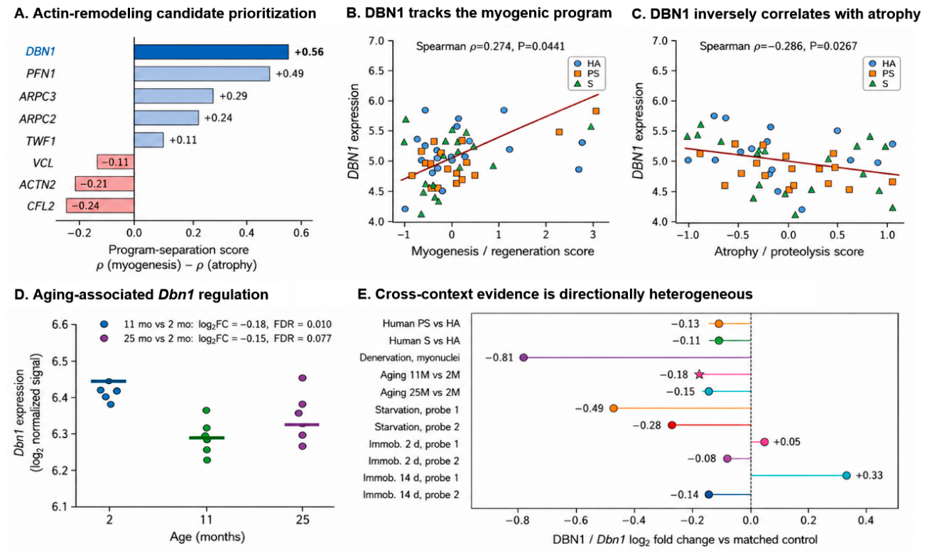 Preprints 233909 g001 Preprints 233909 g001