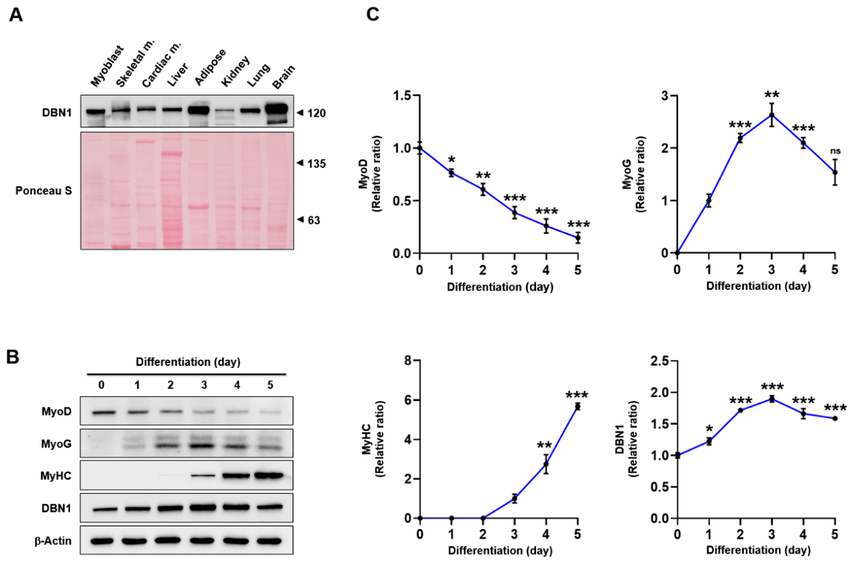 Preprints 233909 g002 Preprints 233909 g002