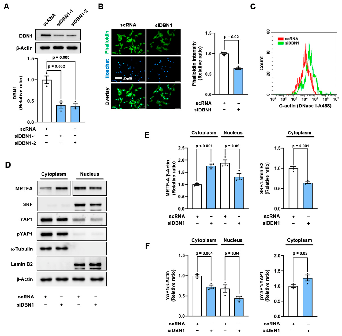 Preprints 233909 g003 Preprints 233909 g003