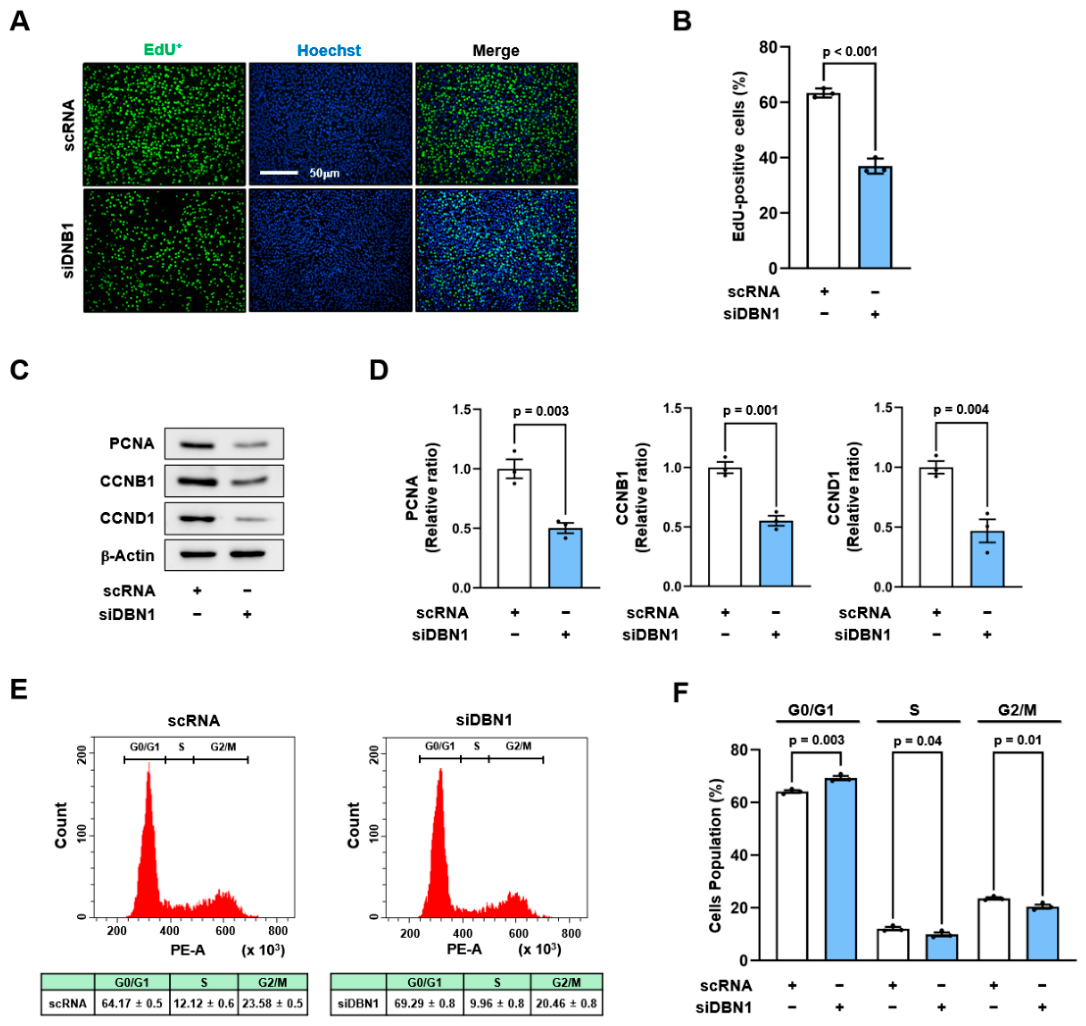 Preprints 233909 g005 Preprints 233909 g005