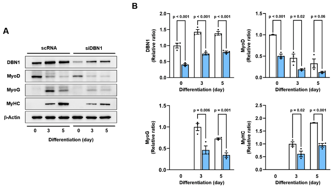 Preprints 233909 g006 Preprints 233909 g006