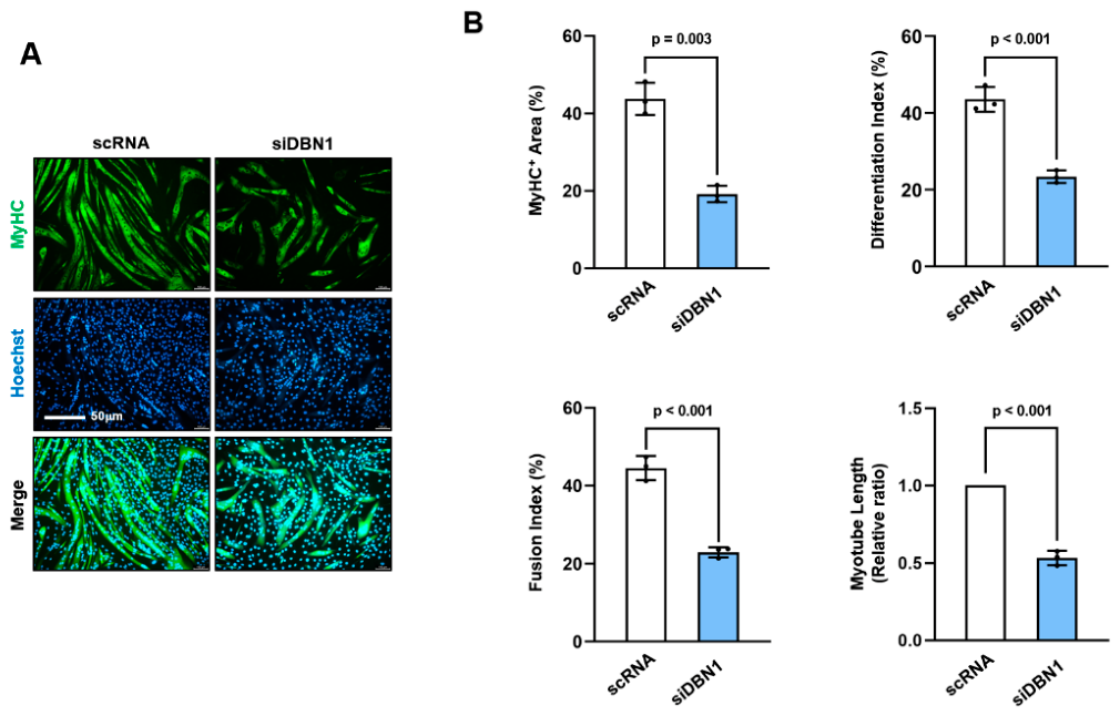 Preprints 233909 g007 Preprints 233909 g007