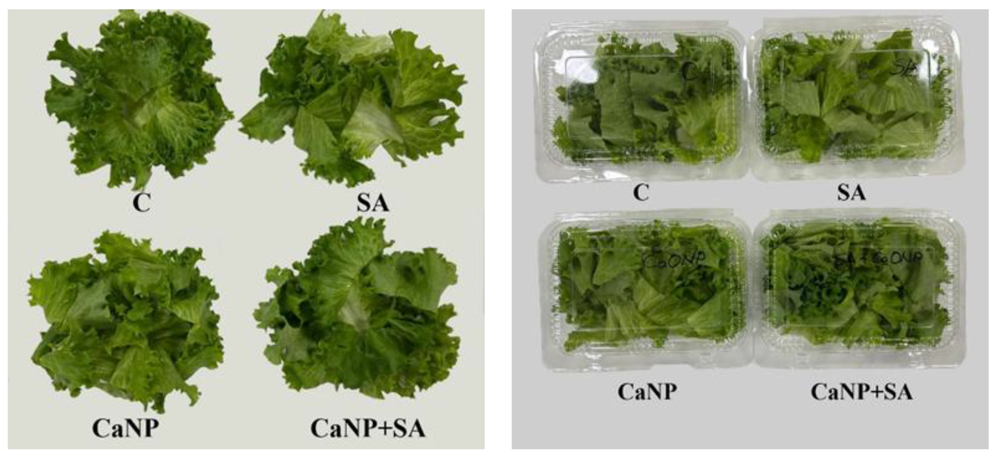 Preprints 184505 g002