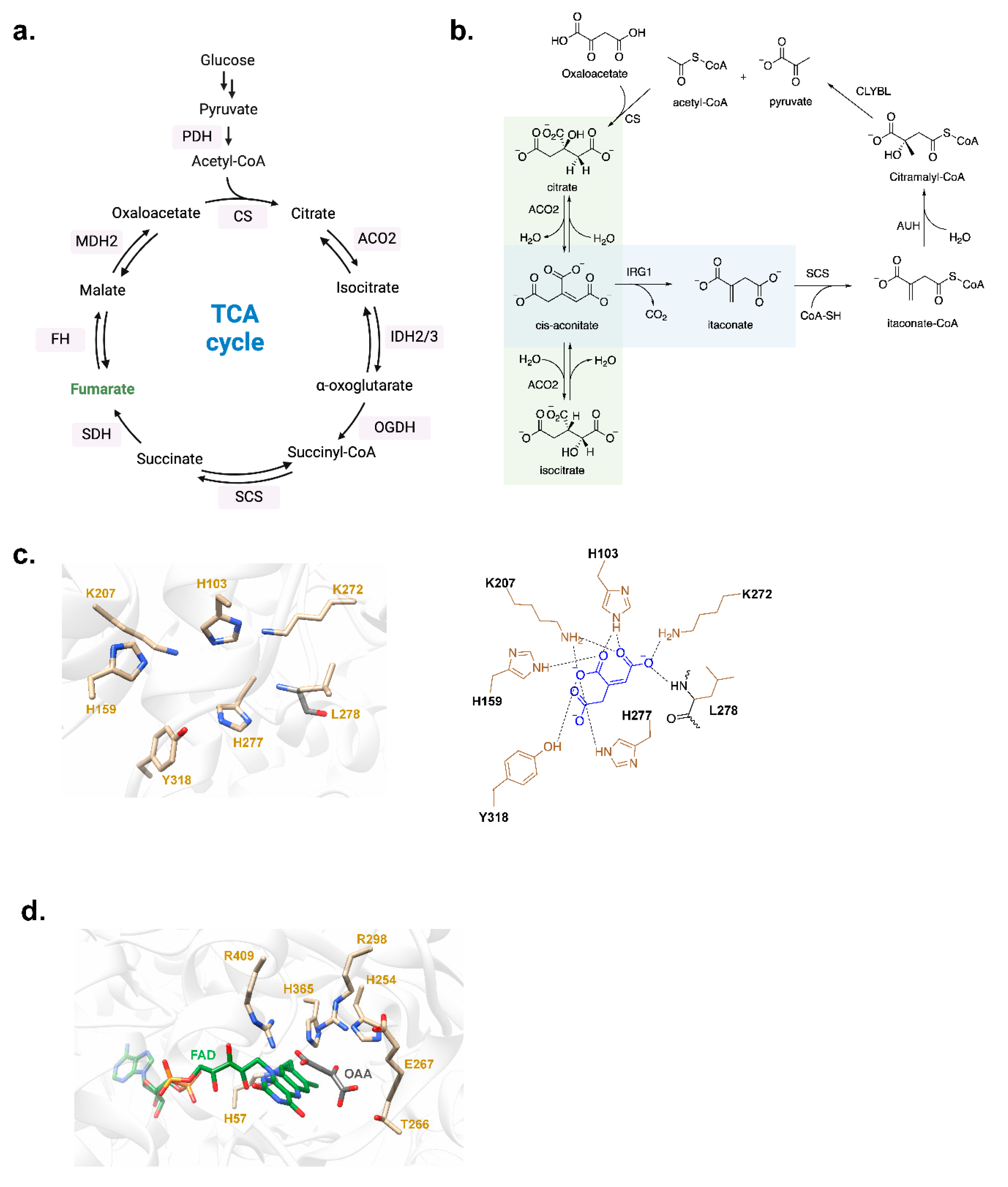 Preprints 102422 g002
