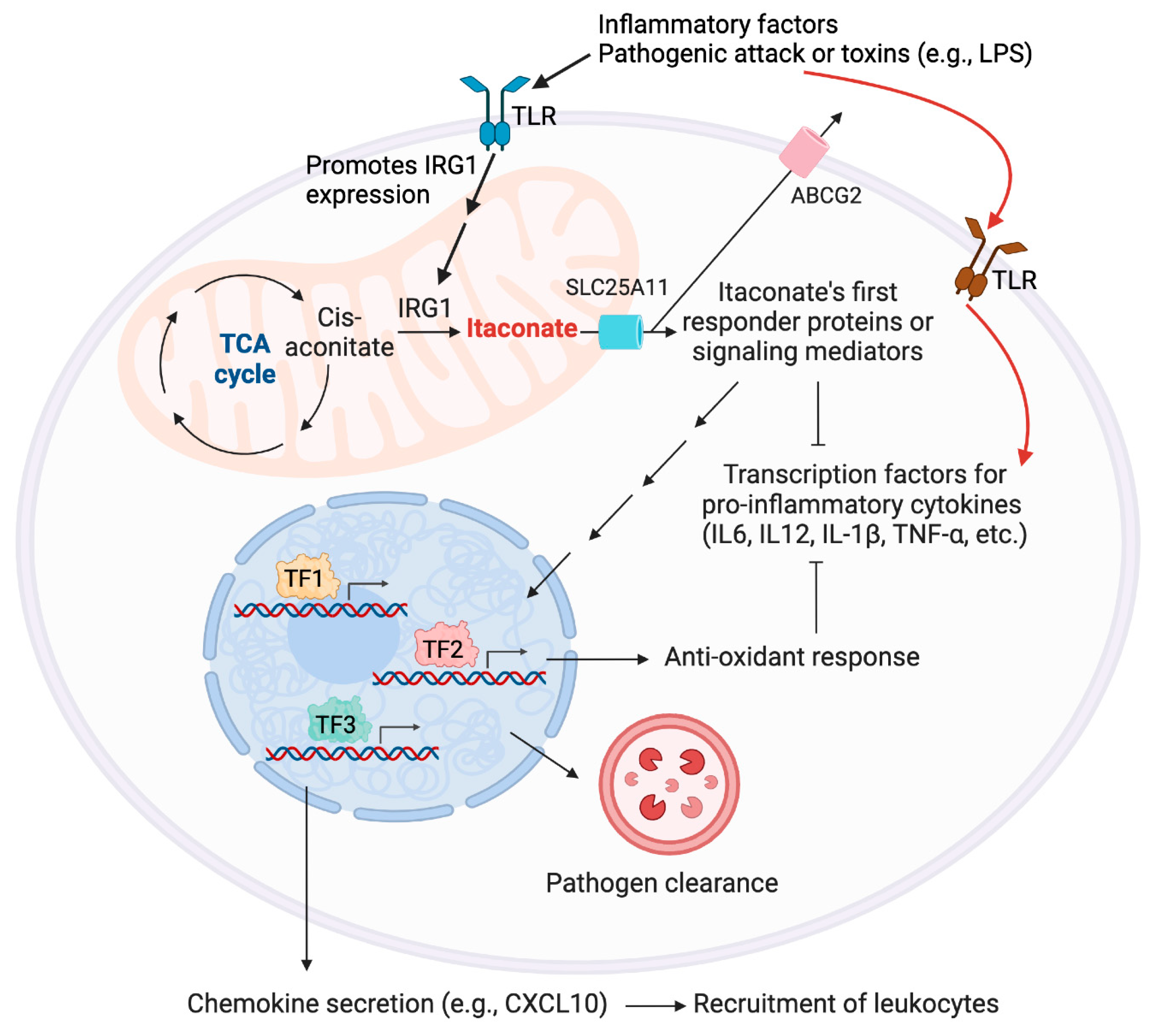 Preprints 102422 g003