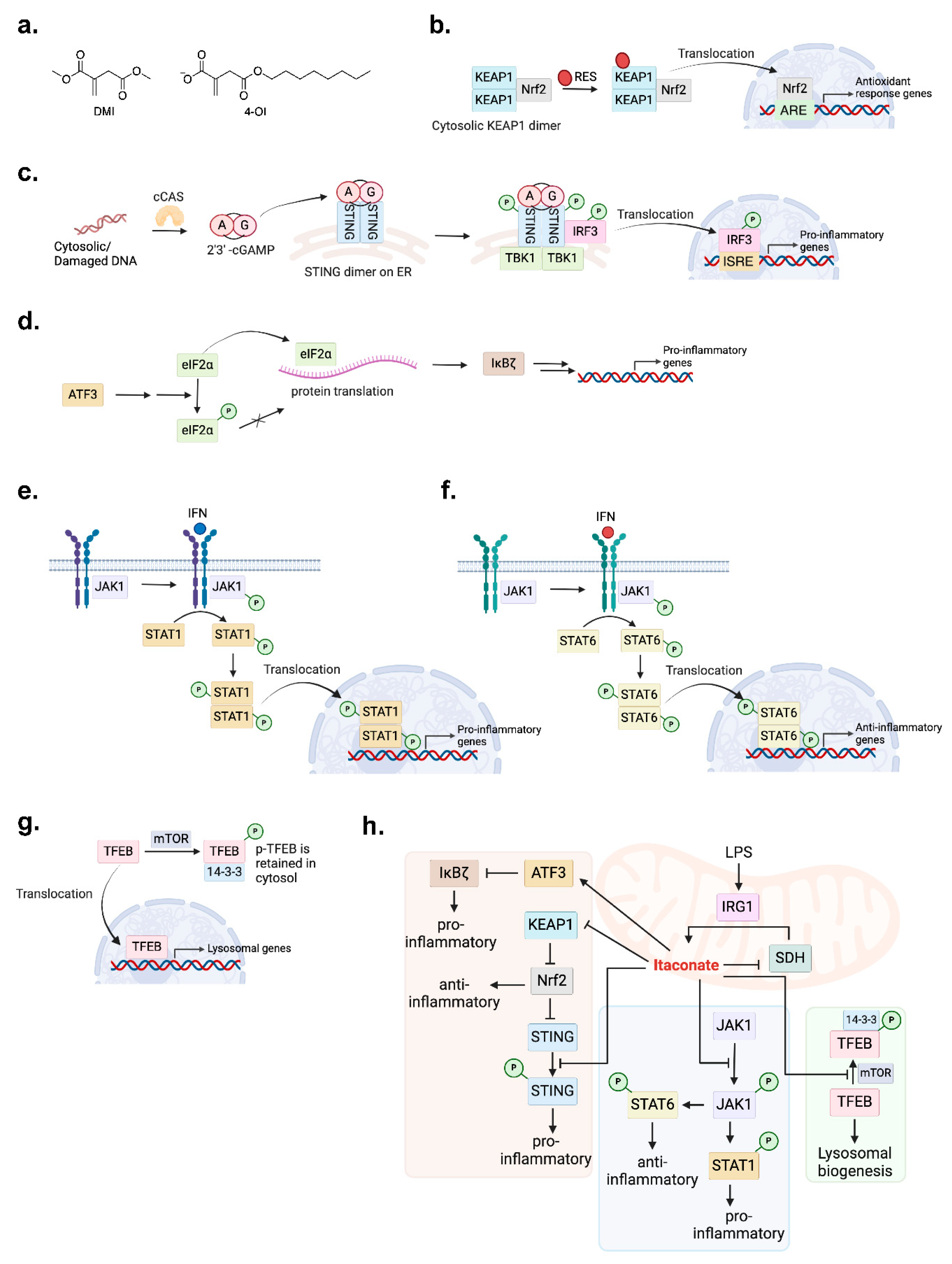 Preprints 102422 g004