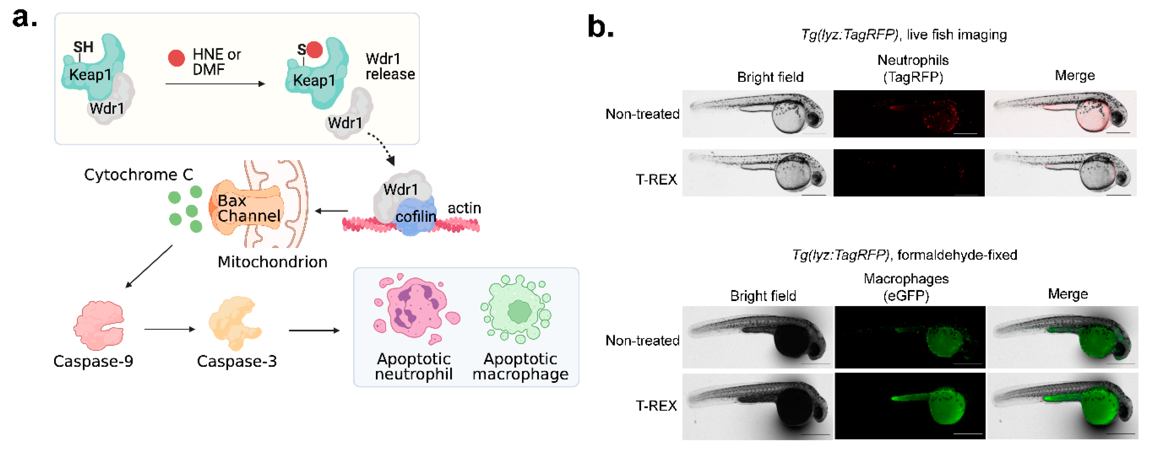 Preprints 102422 g005