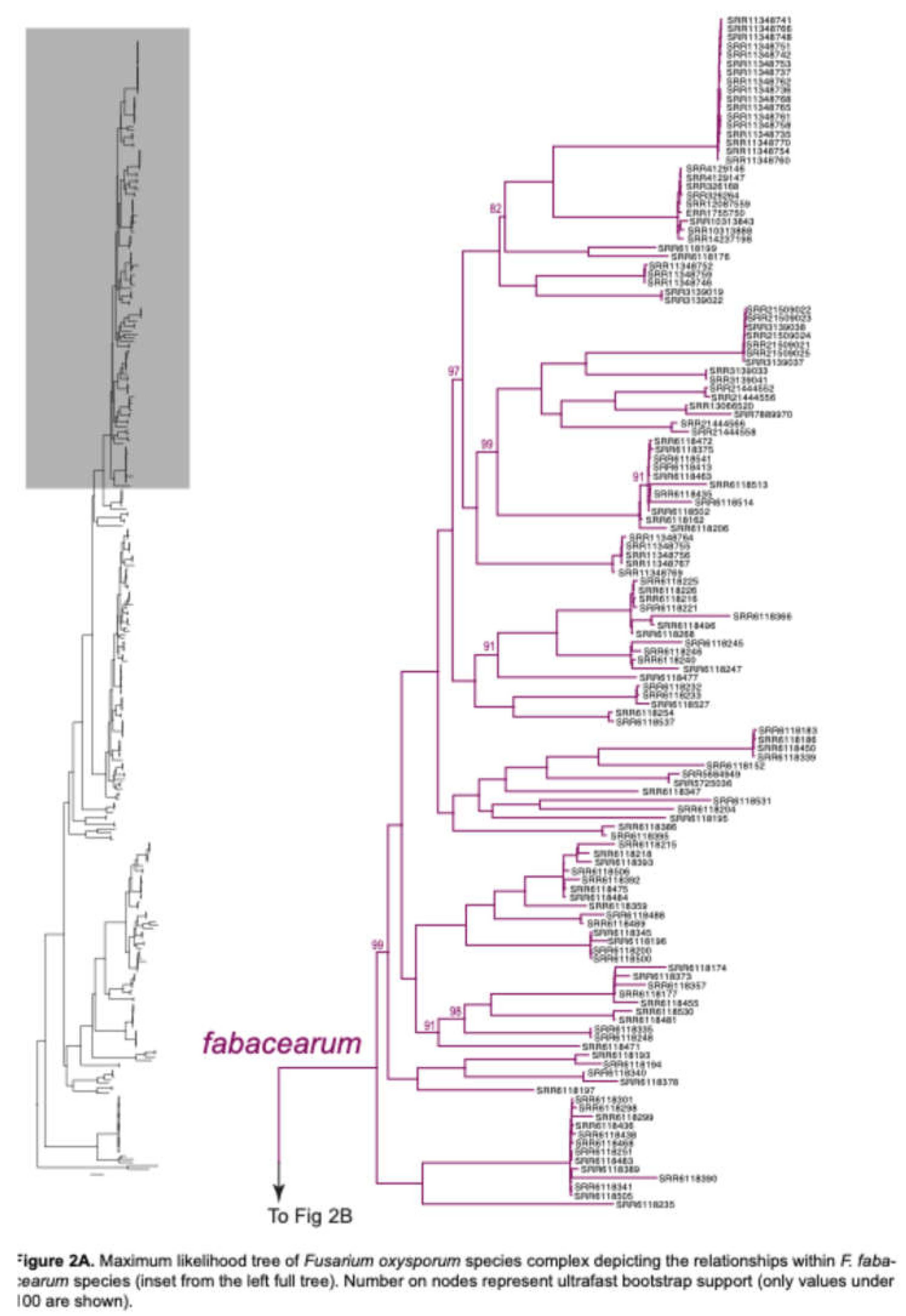 Preprints 216718 g002