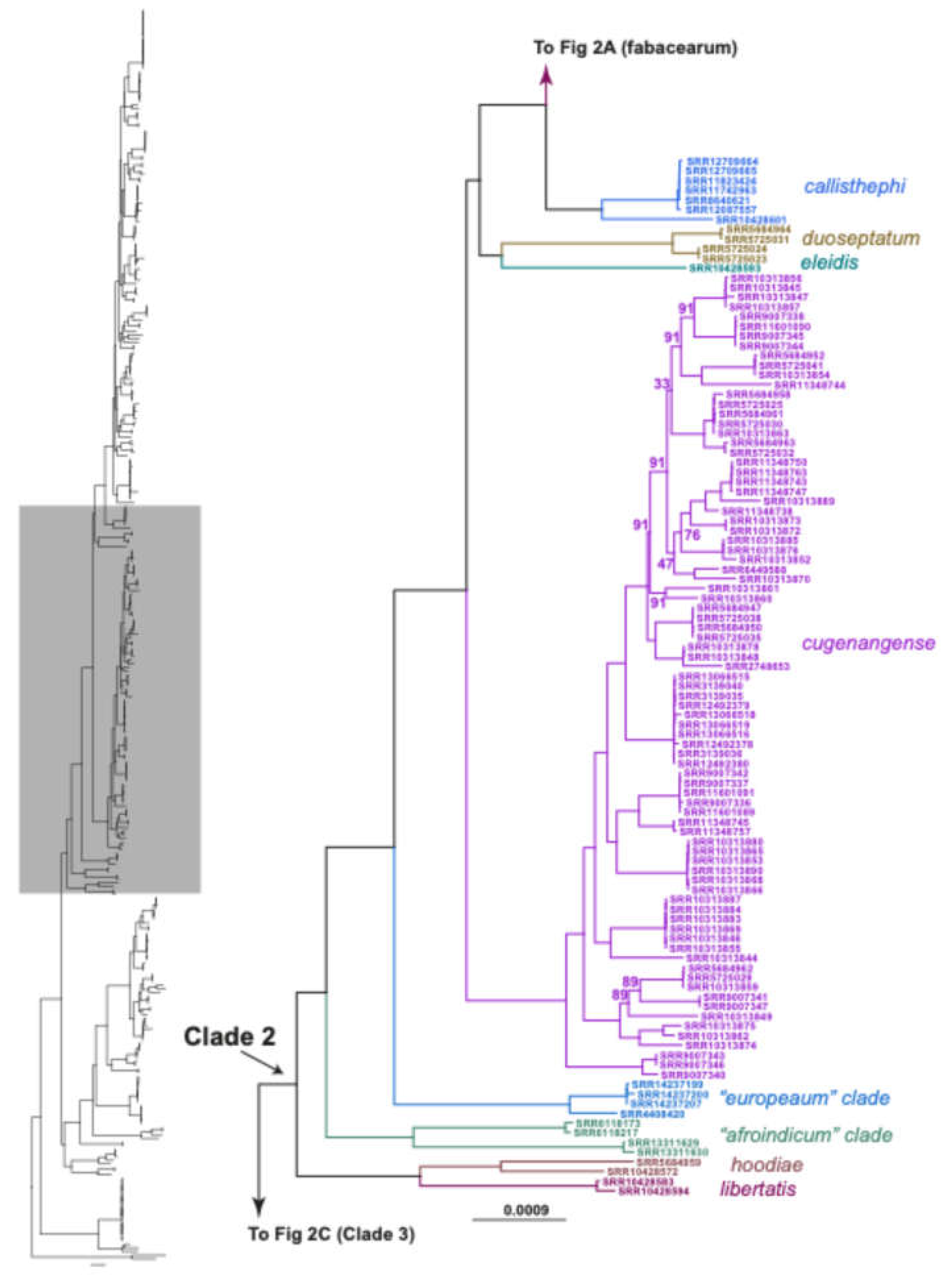 Preprints 216718 g003