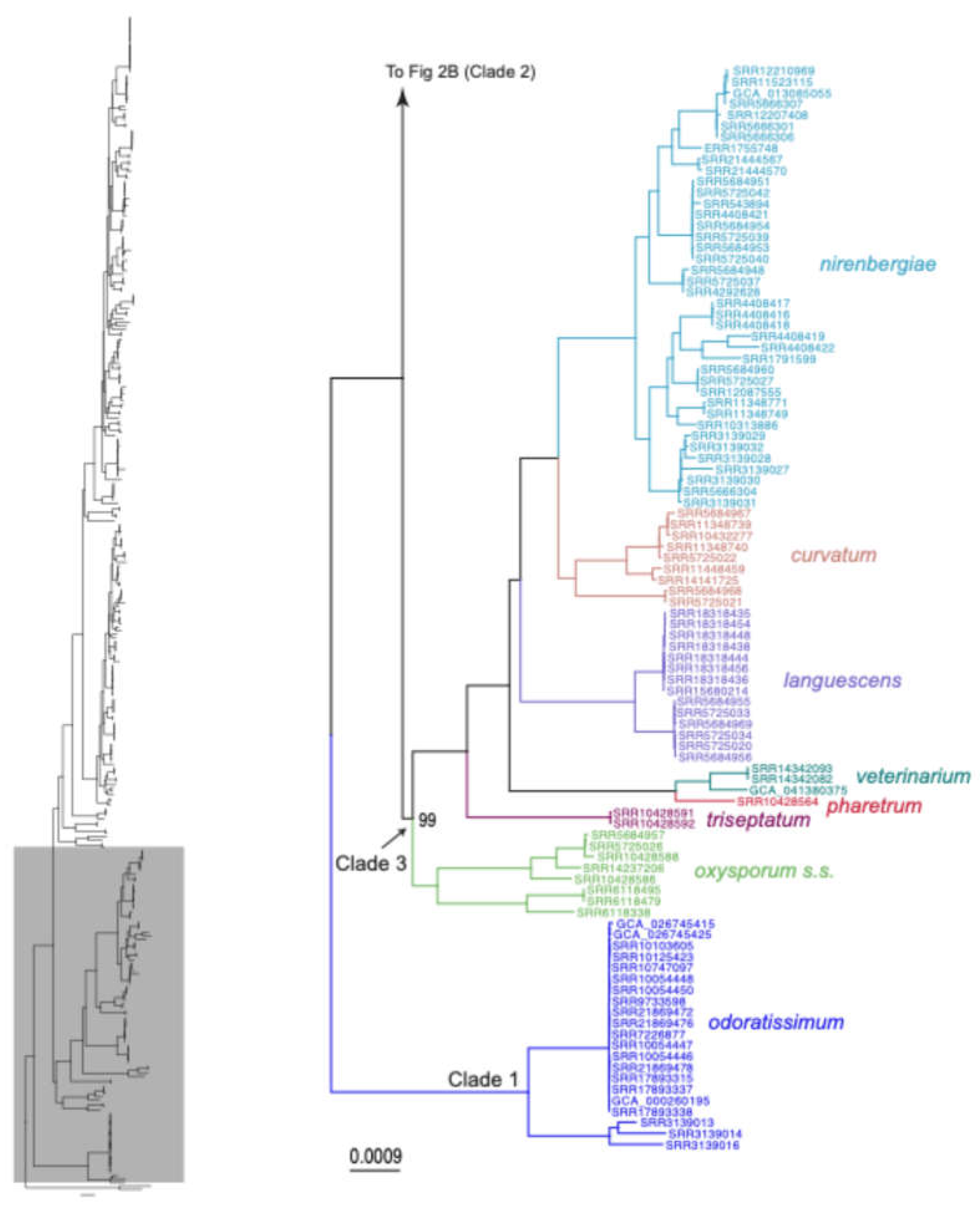 Preprints 216718 g004