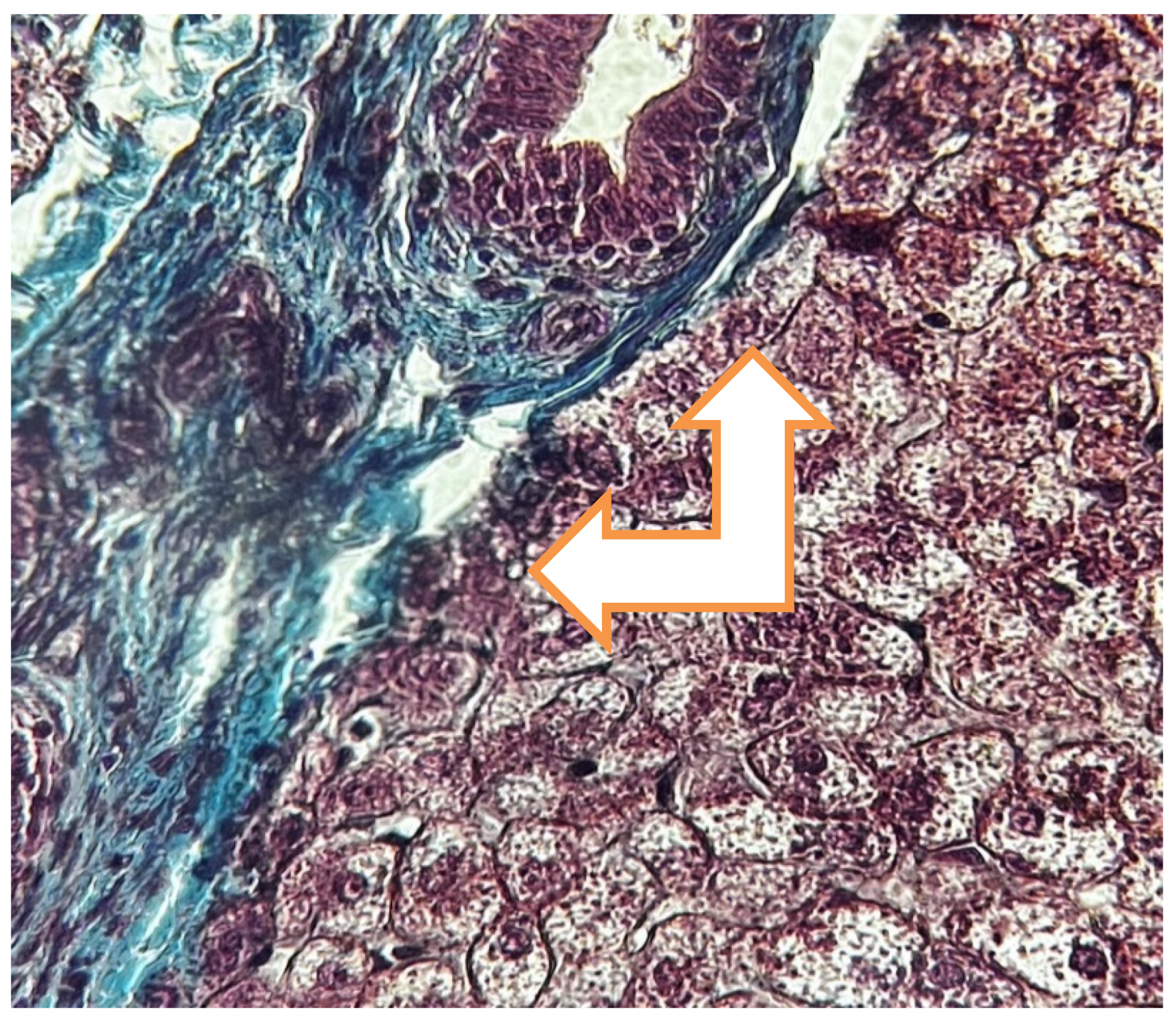 Preprints 160797 g002