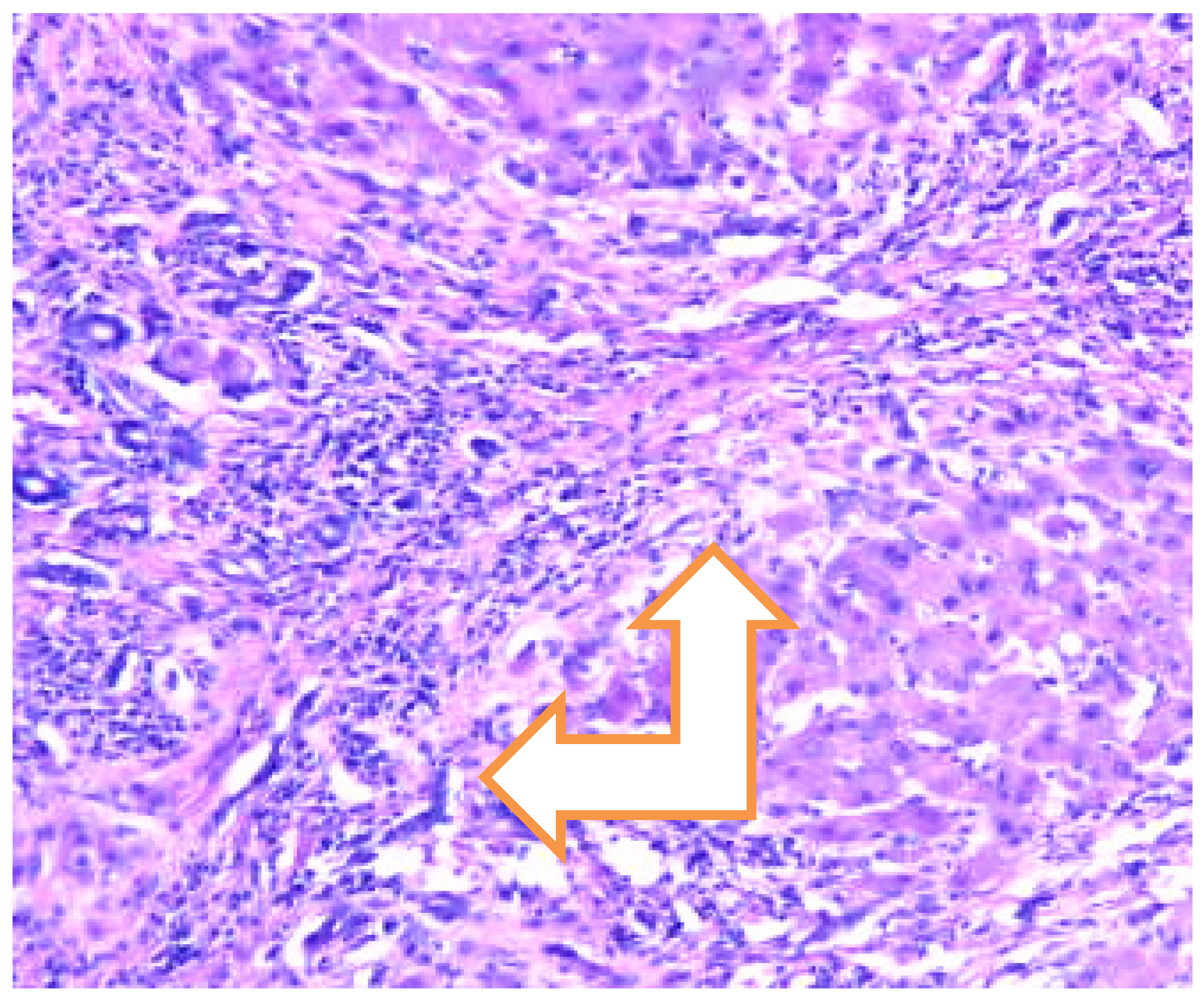 Preprints 160797 g003