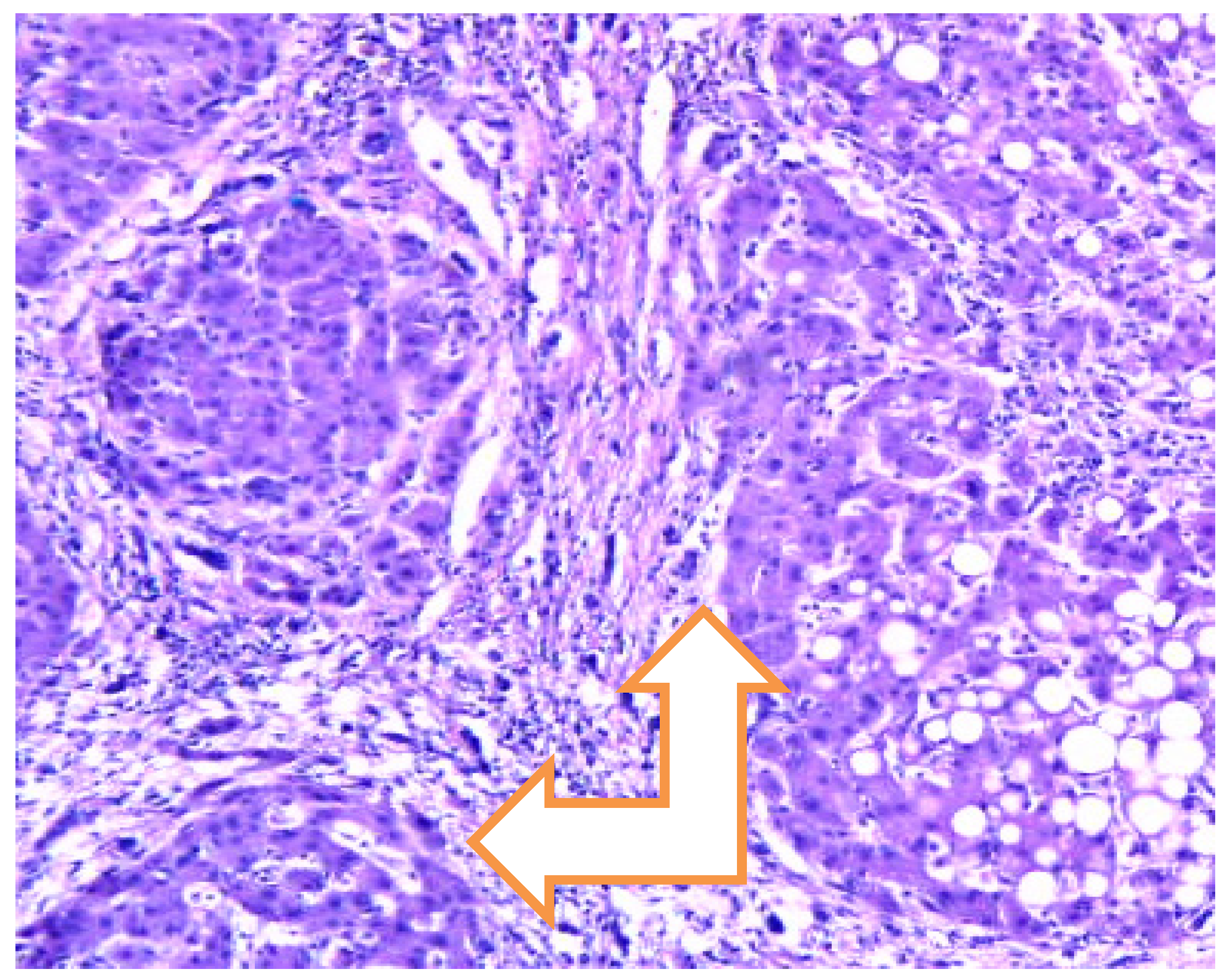 Preprints 160797 g004