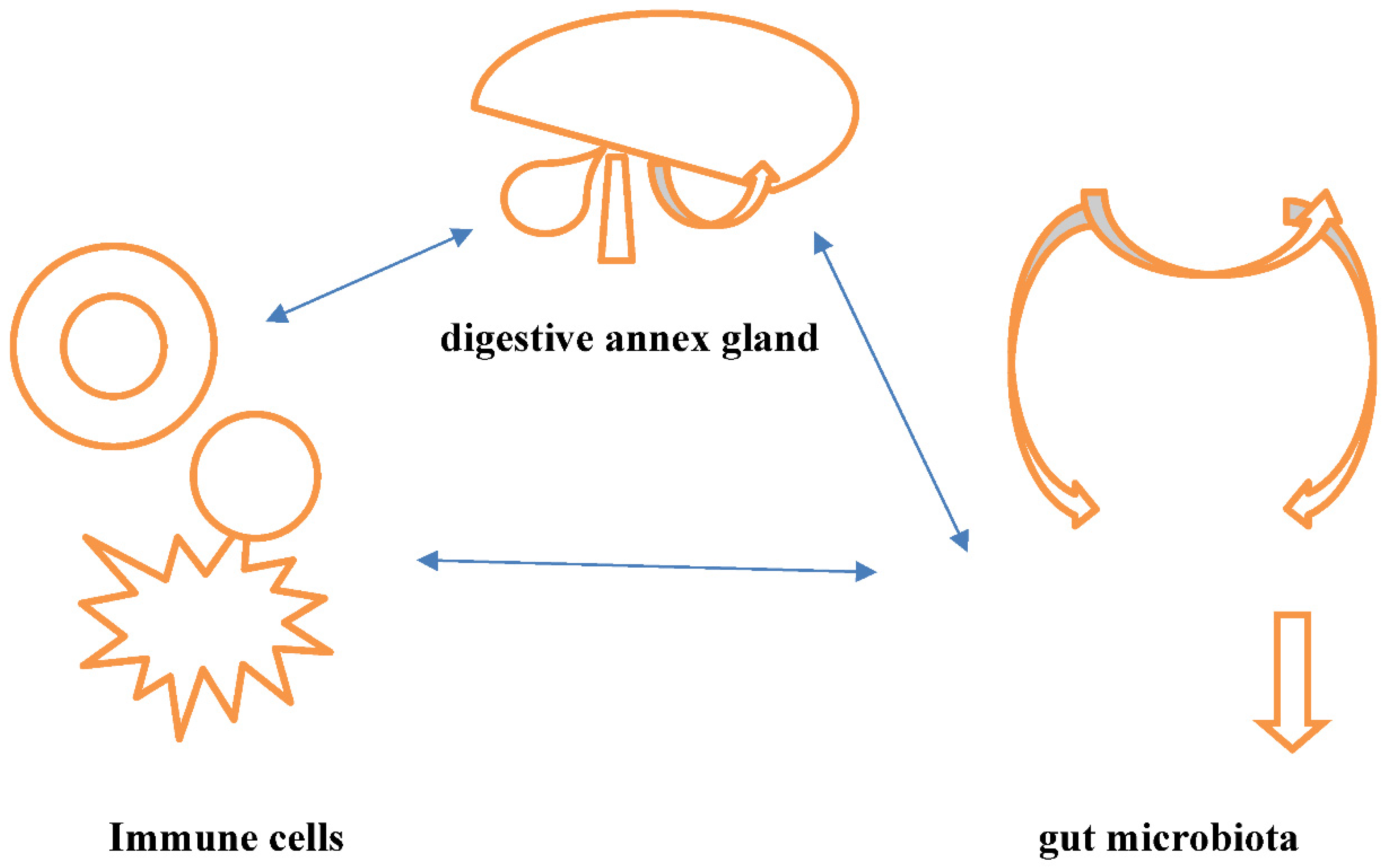 Preprints 160797 g005