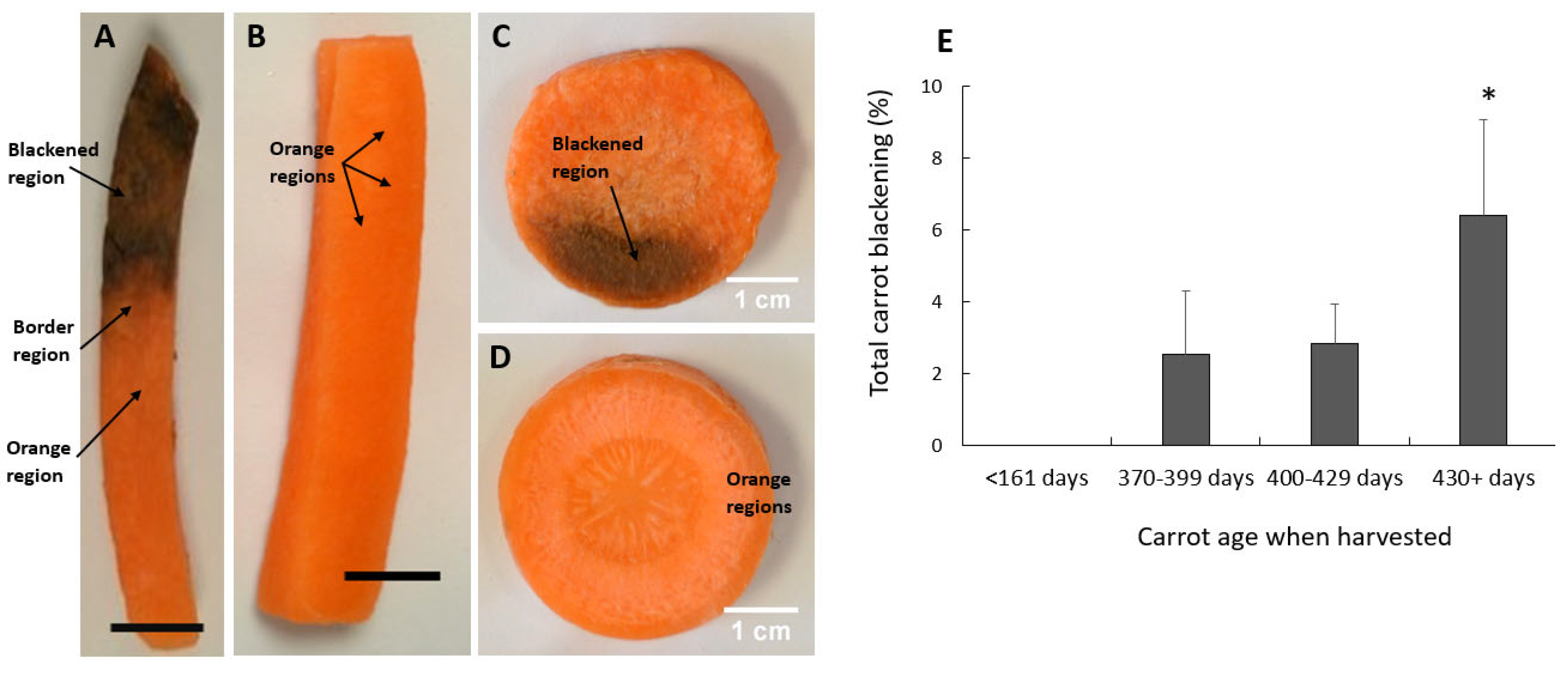 Preprints 75496 g001
