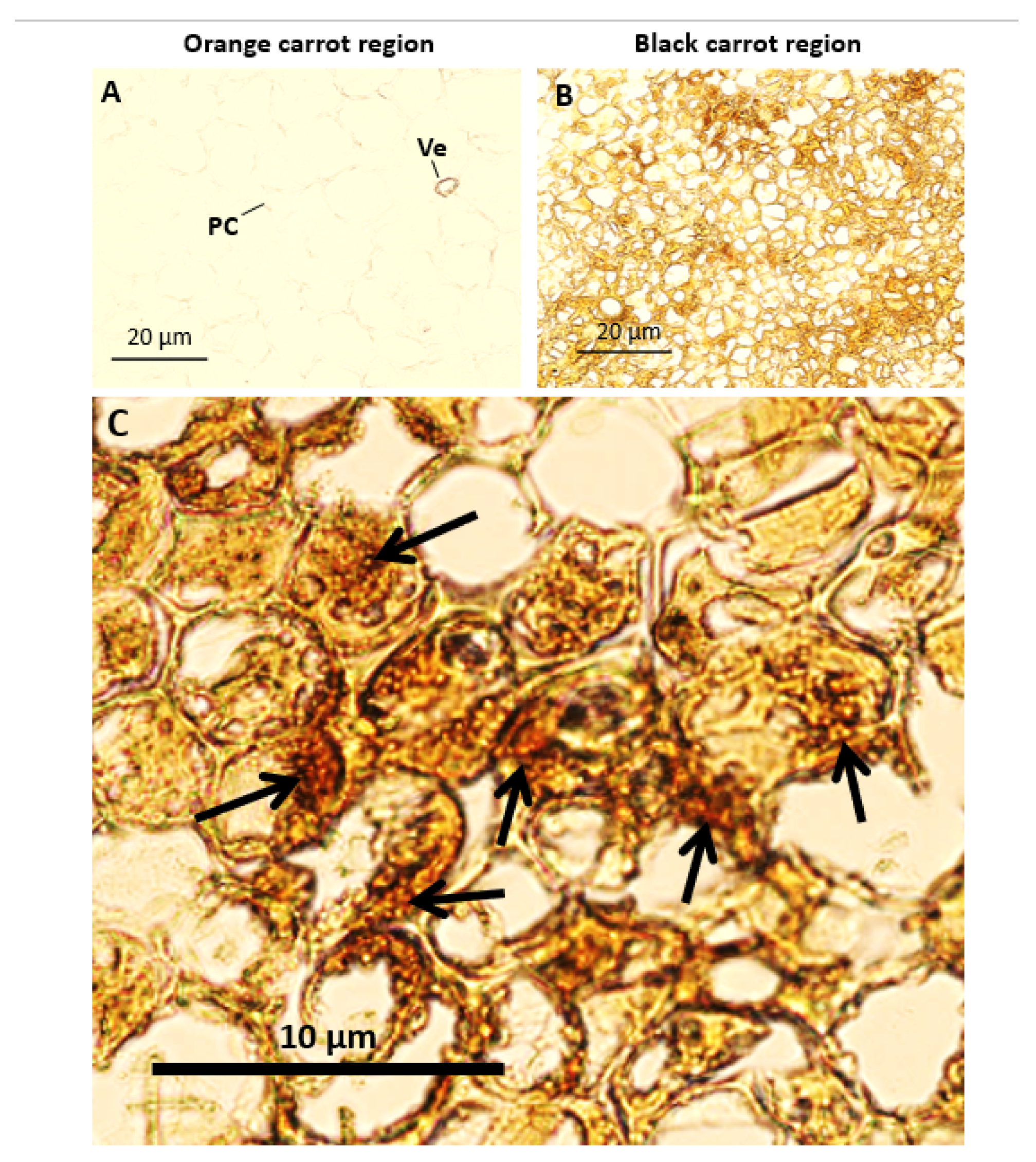Preprints 75496 g002
