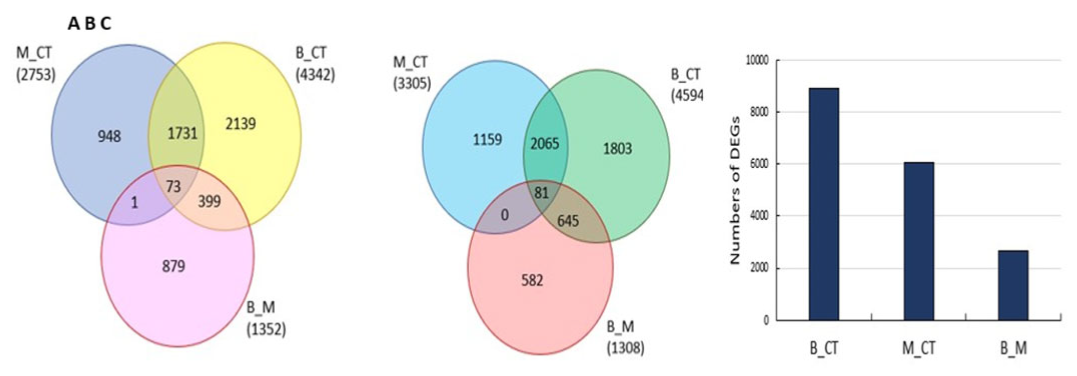 Preprints 75496 g006