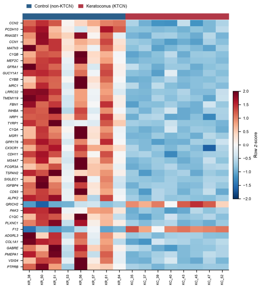 Preprints 221085 g003 Preprints 221085 g003